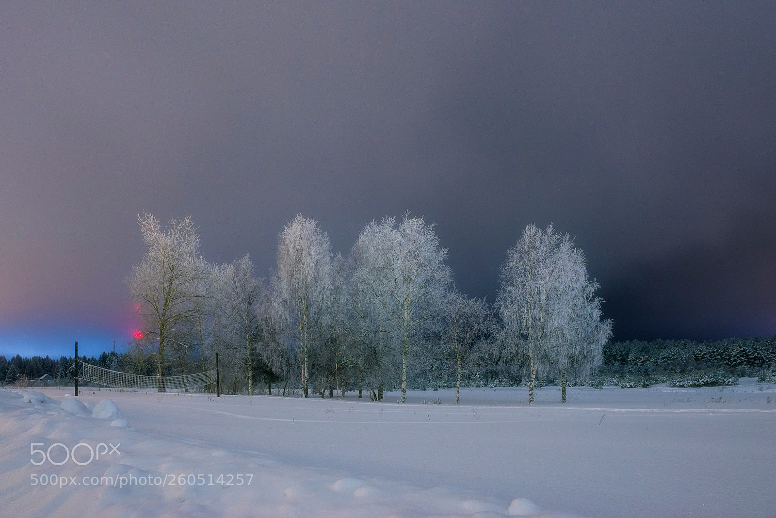 Nikon D610 sample photo. 933. bright evening iii photography