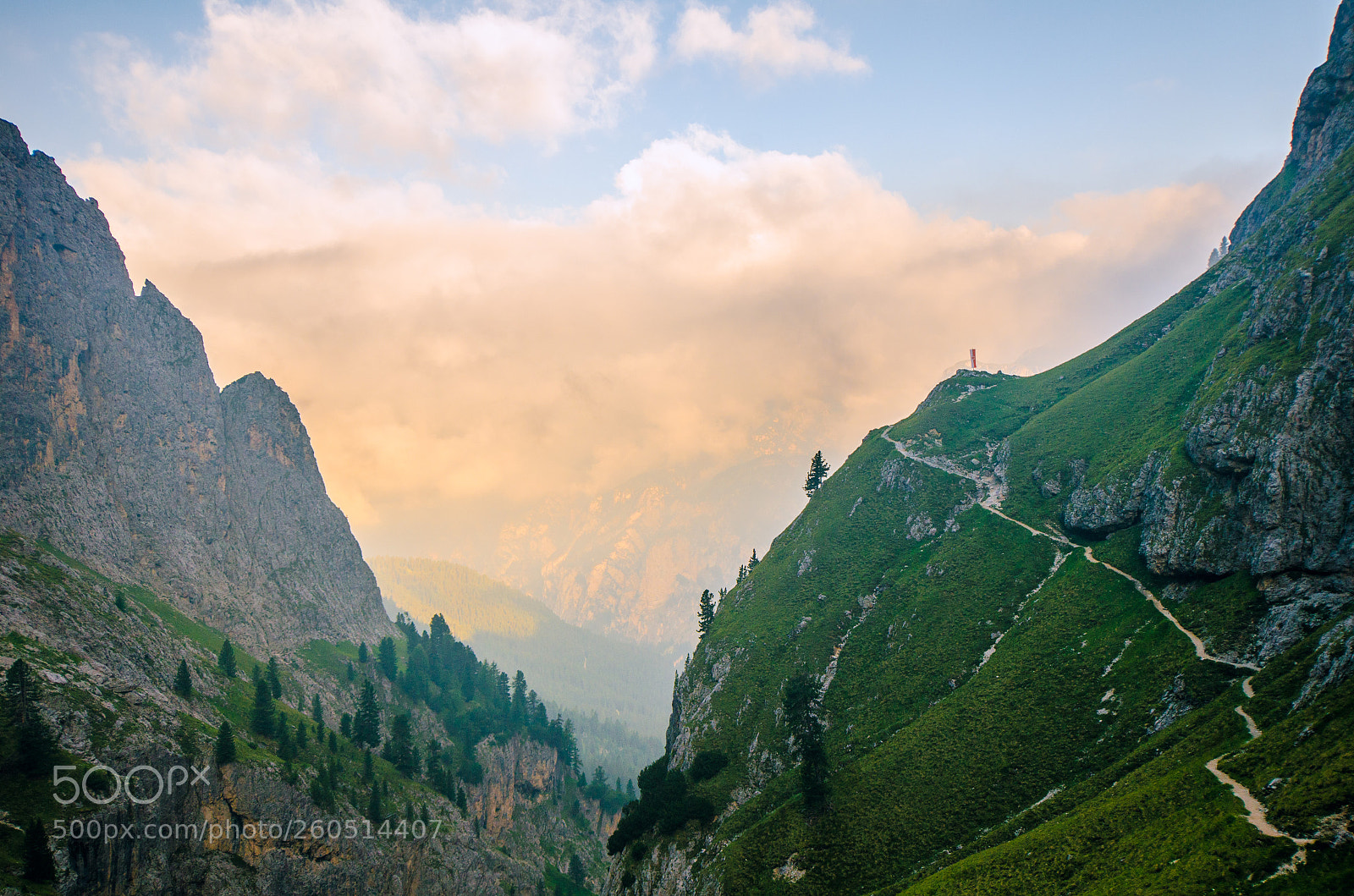 Nikon D7000 sample photo. Path to the sky photography