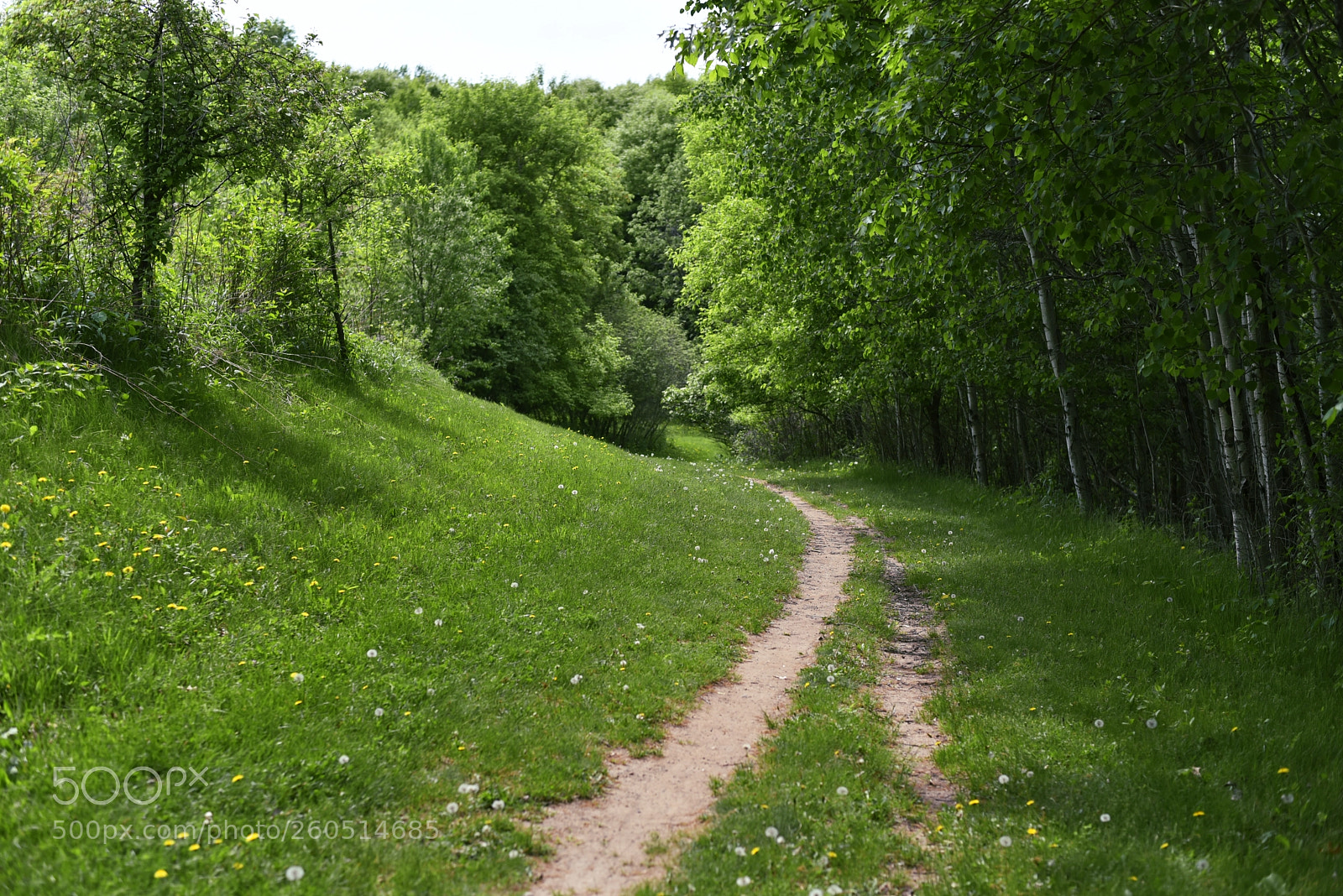 Nikon D750 sample photo. The country photography