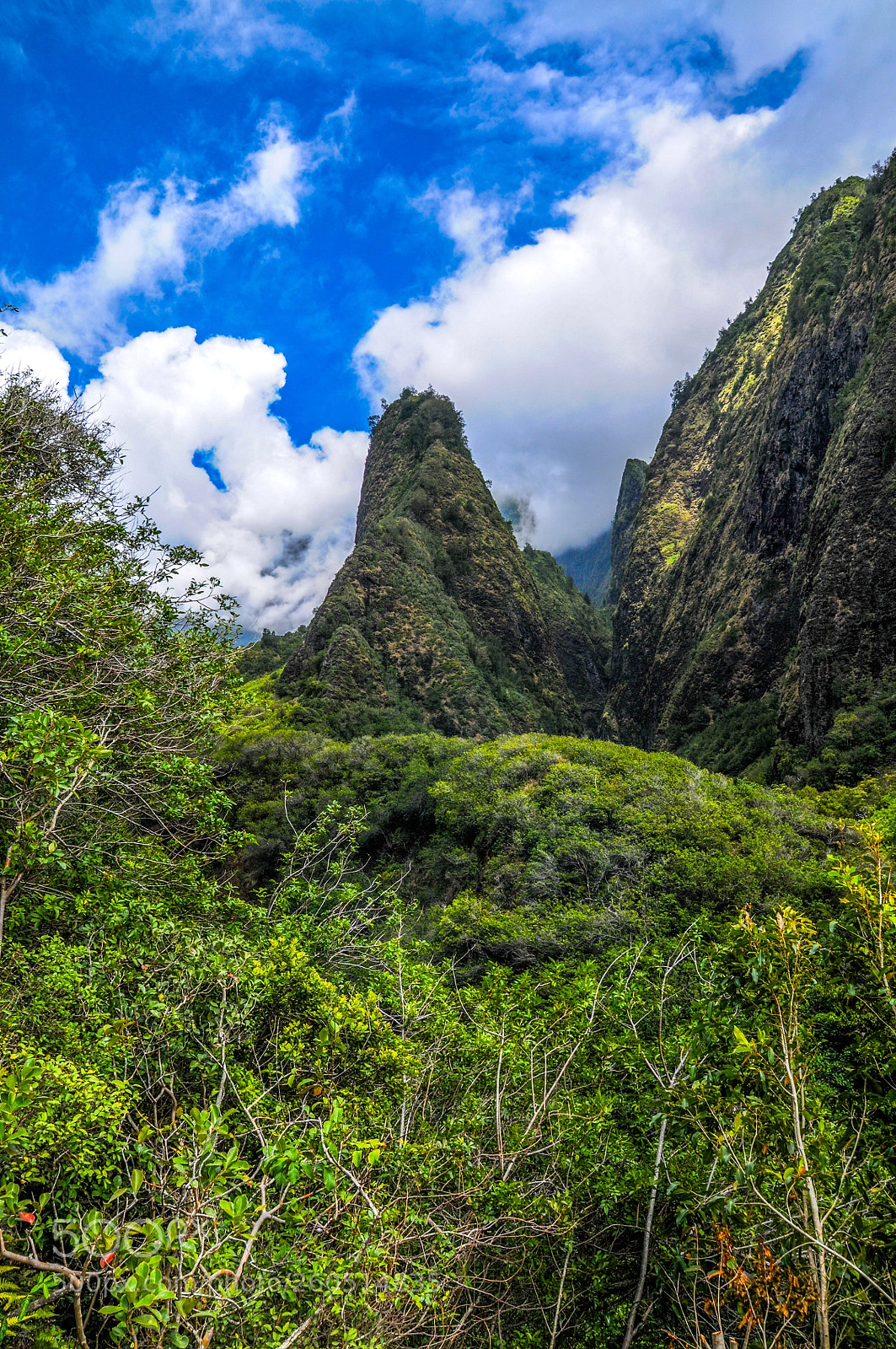Nikon D300S sample photo. Iao valley photography