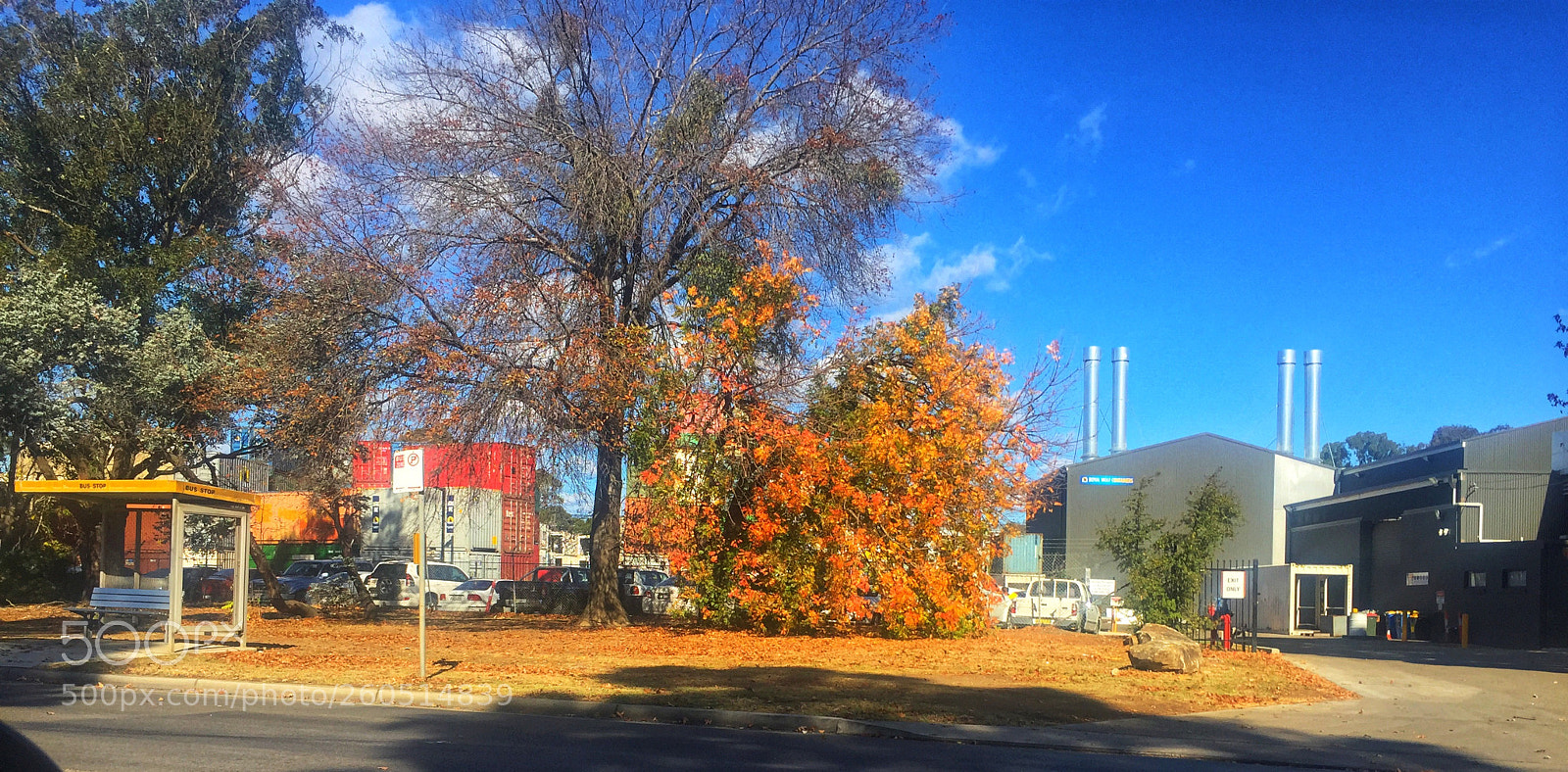 Apple iPhone 6 sample photo. Sunny day photography