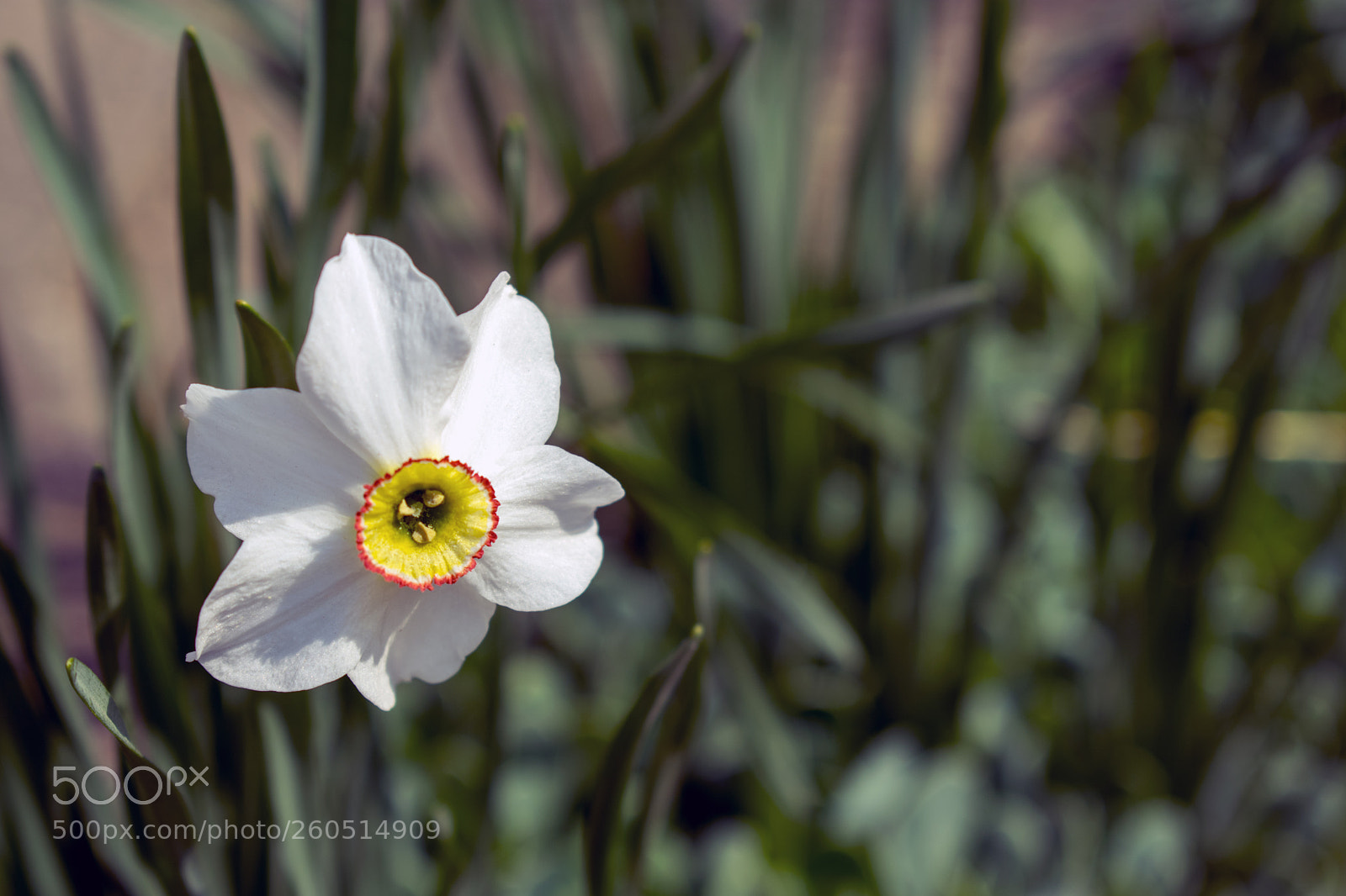Nikon D3400 sample photo. Nikon d3400 + 18-55 mm photography