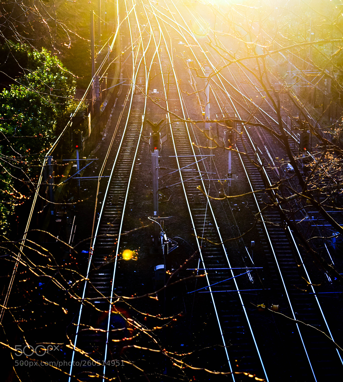 Nikon D3300 sample photo. Strong sunlight photography
