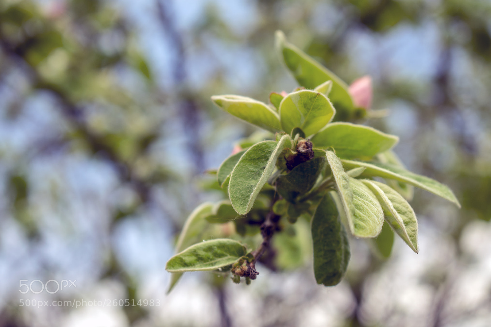 Nikon D3400 sample photo. Nikon d3400 + 18-55 mm photography