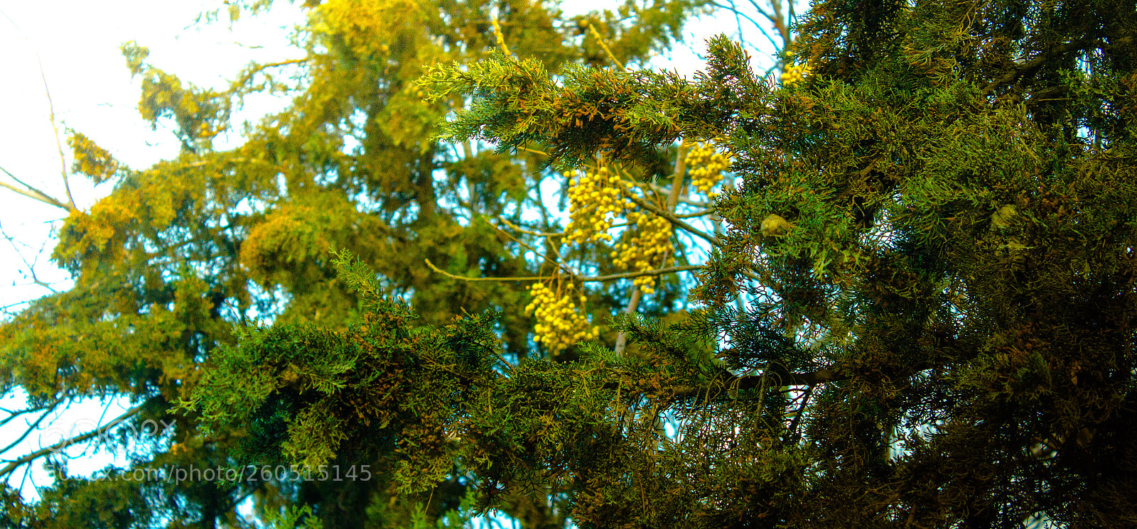 Canon EOS 7D sample photo. Untitled photography
