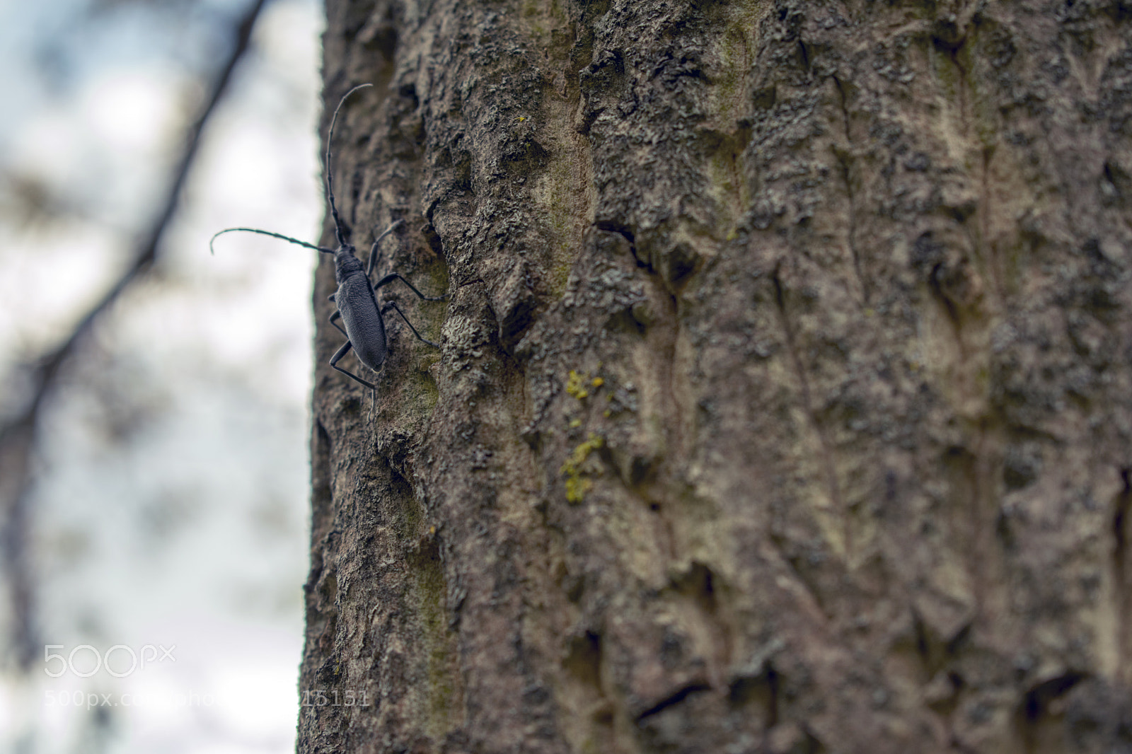 Nikon D3400 sample photo. Nikon d3400 + 18-55 mm photography
