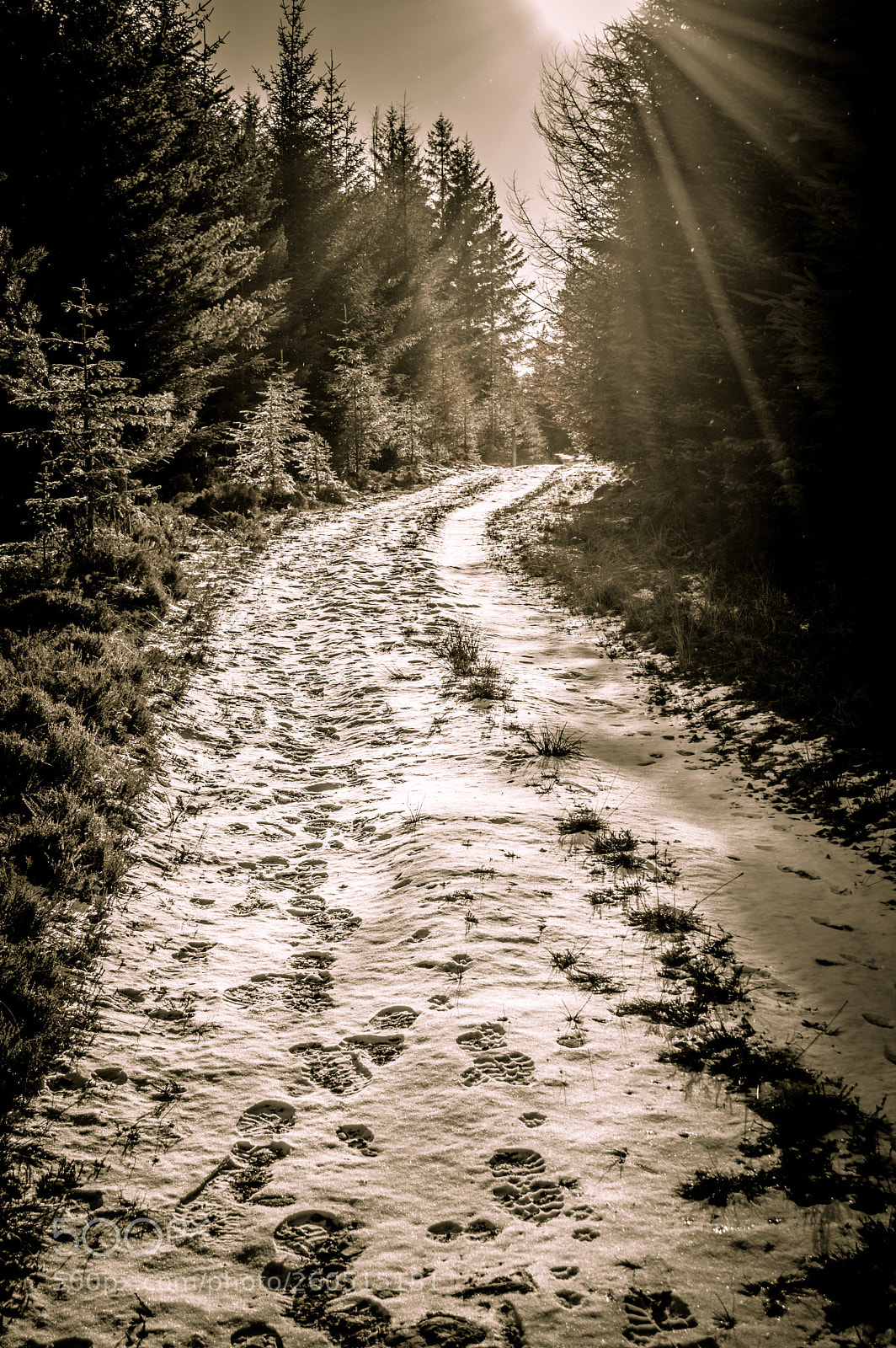 Nikon D3200 sample photo. B photography