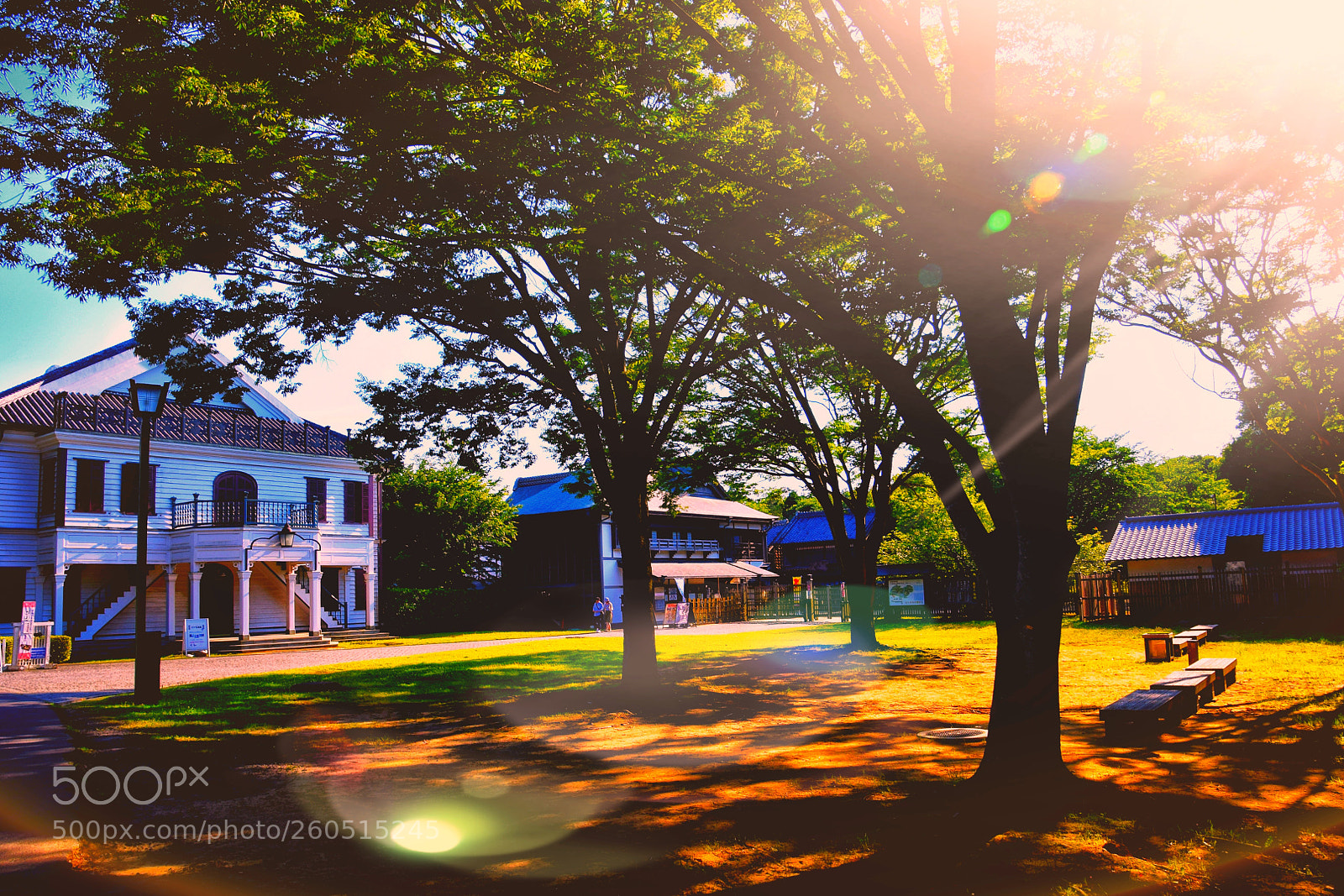 Nikon D3300 sample photo. Shade of trees photography