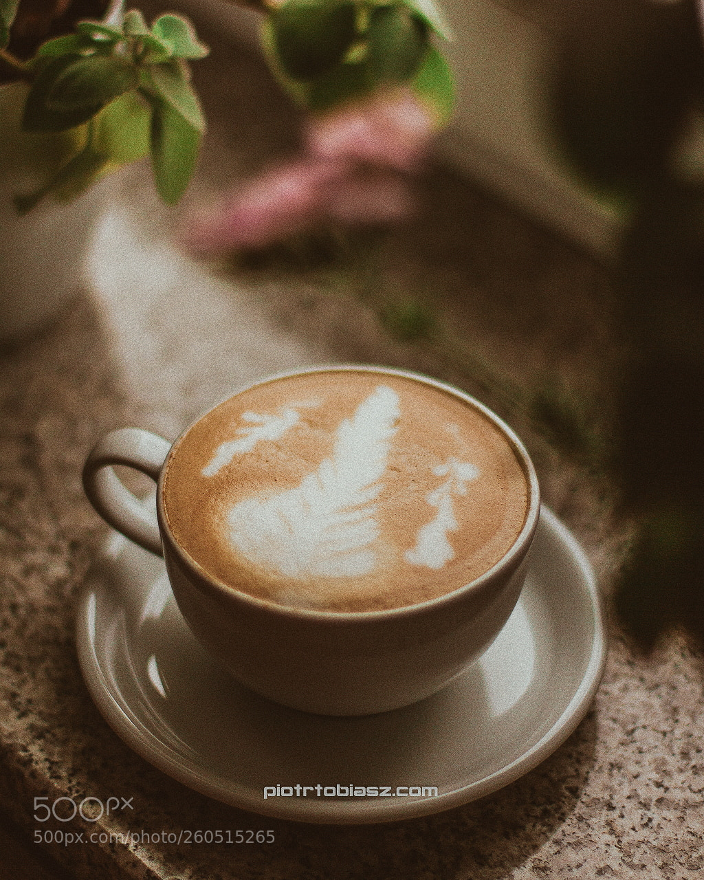 Canon EOS 7D sample photo. Coffee time. photography