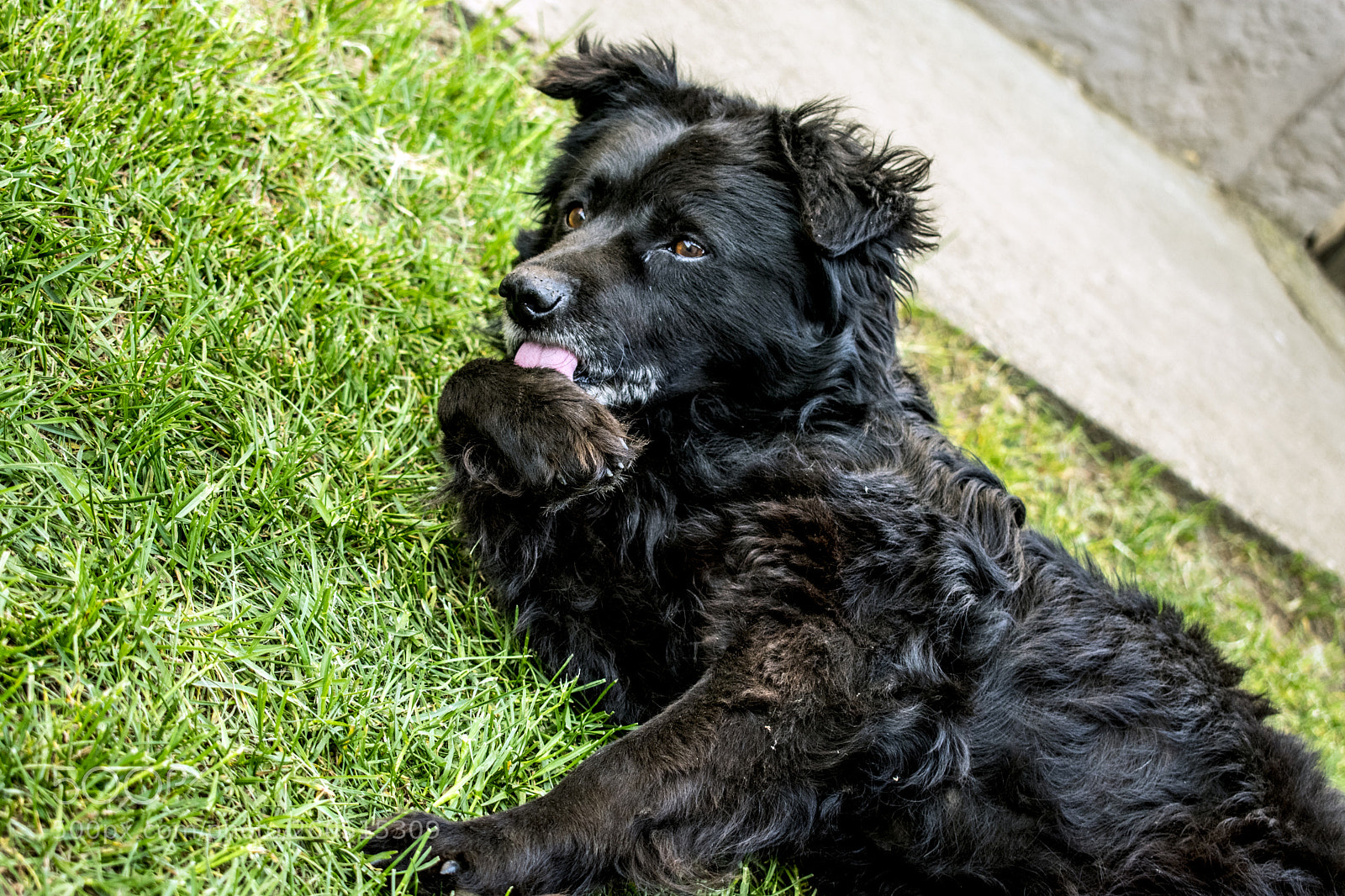 Nikon D3400 sample photo. Nikon d3400 + 18-55 mm photography