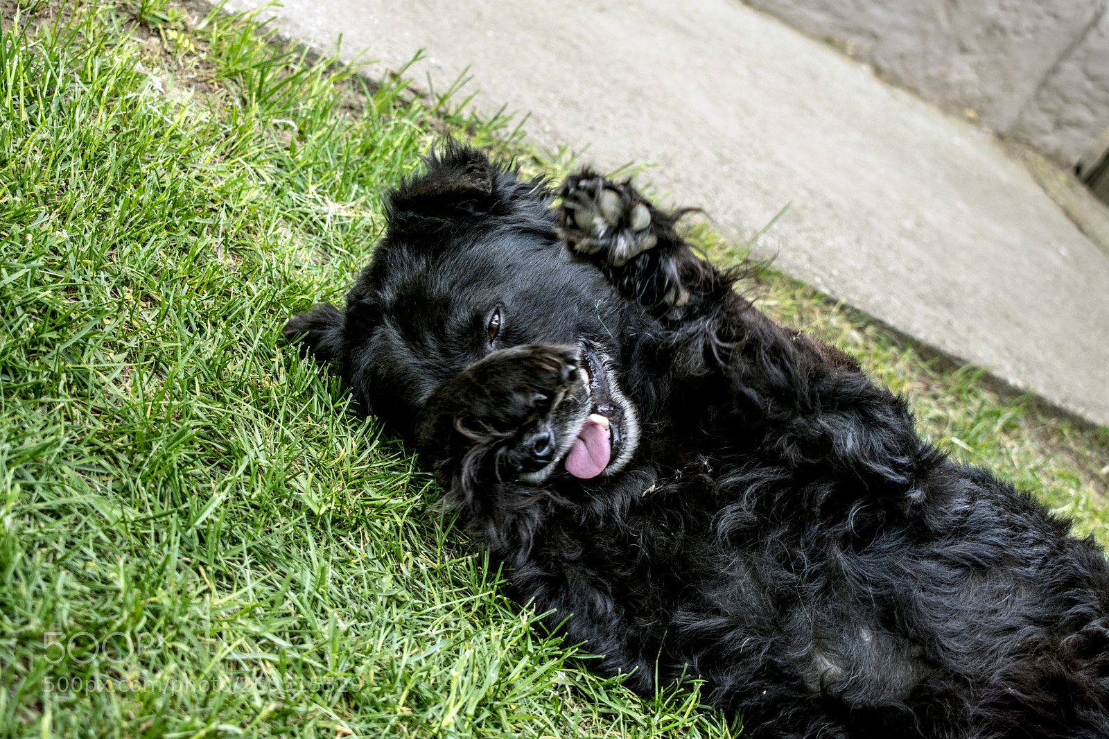Nikon D3400 sample photo. Nikon d3400 + 18-55 mm photography