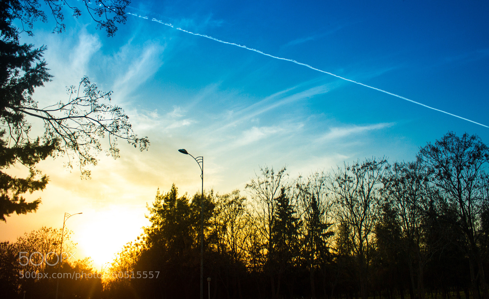Canon EOS 7D sample photo. Untitled photography