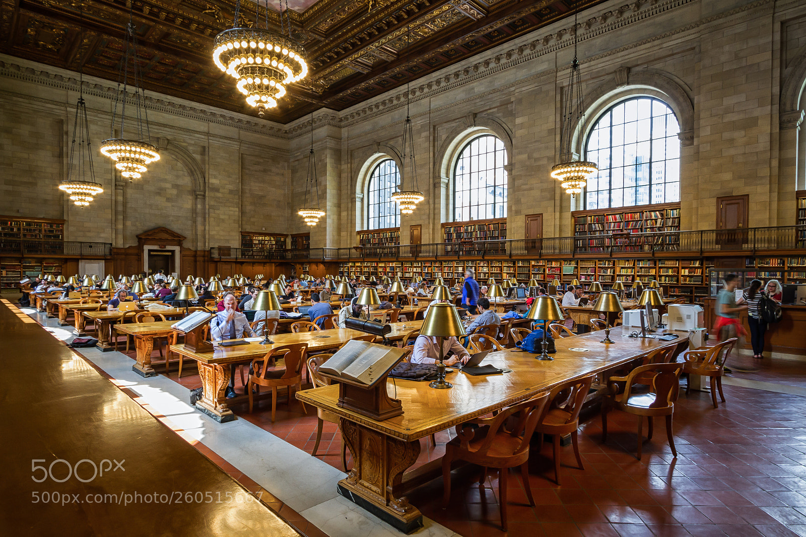 Canon EOS 7D sample photo. New york public library photography