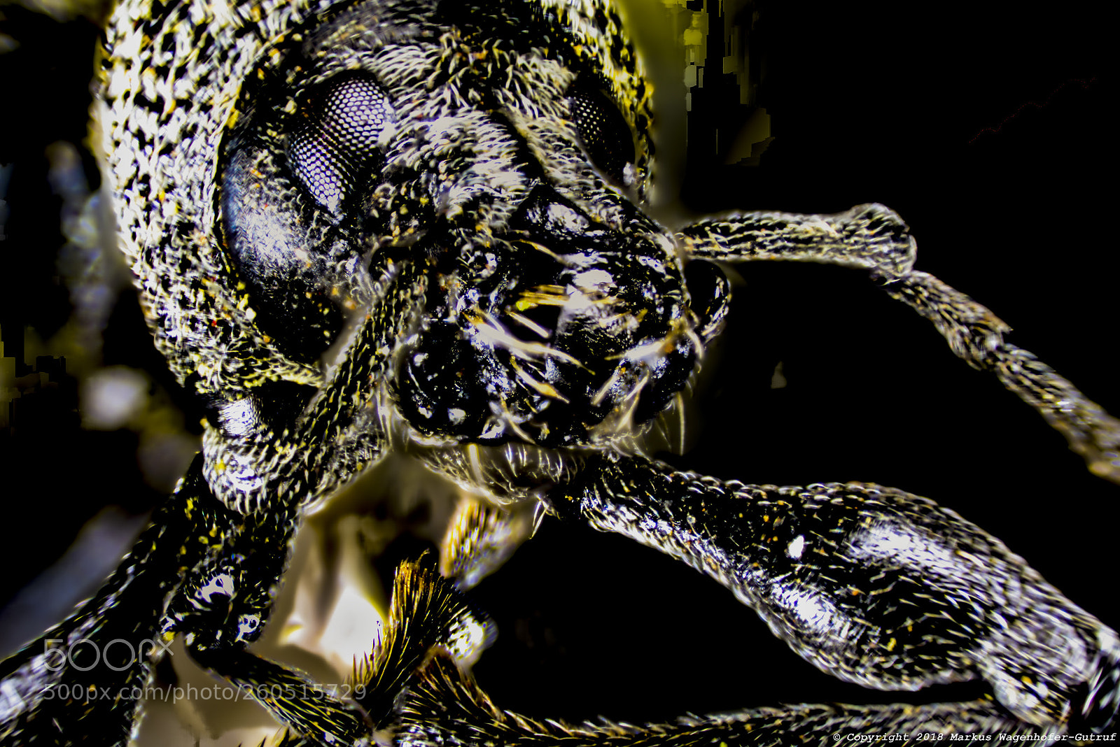 Nikon D7100 sample photo. M=a r=s= photography