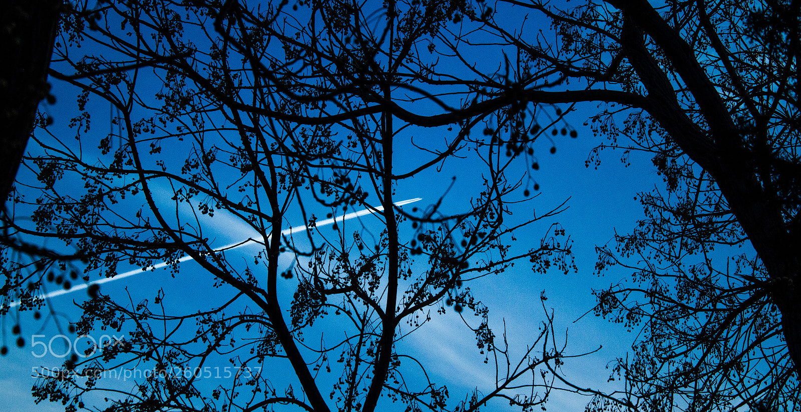Canon EOS 7D sample photo. Untitled photography