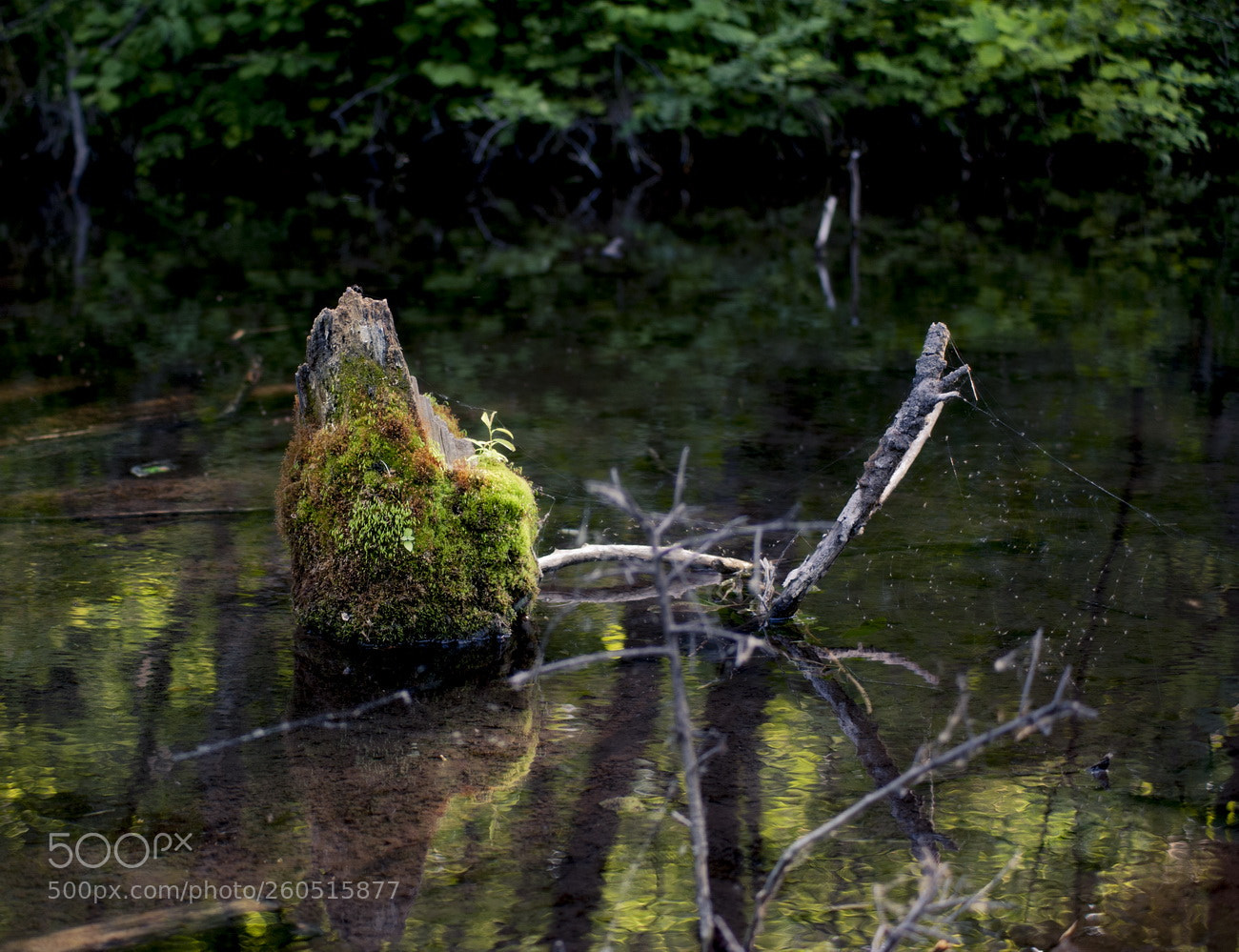 Nikon D700 sample photo. Valley2 photography