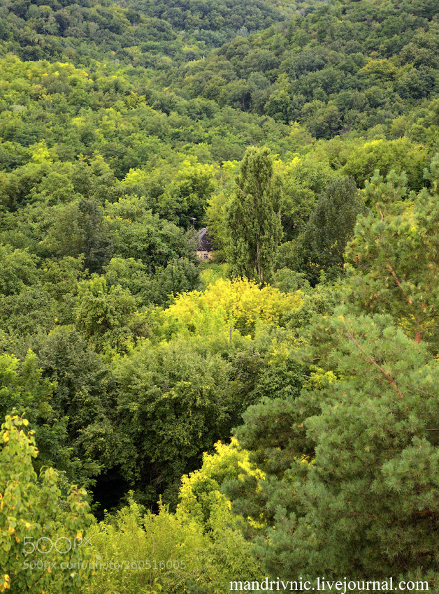 Nikon D3100 sample photo. Untitled photography