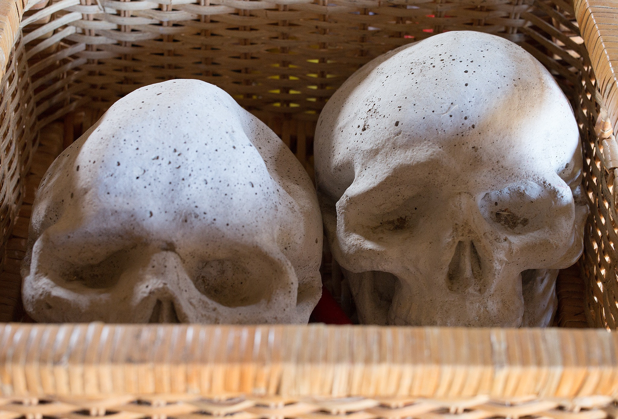 Leica M (Typ 240) sample photo. Two skulls of concrete found in flea market! photography