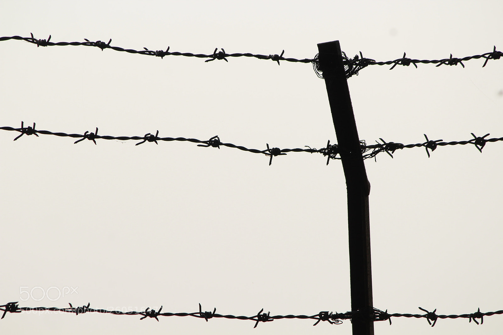 Canon EF-S 55-250mm F4-5.6 IS II sample photo. Jail photography