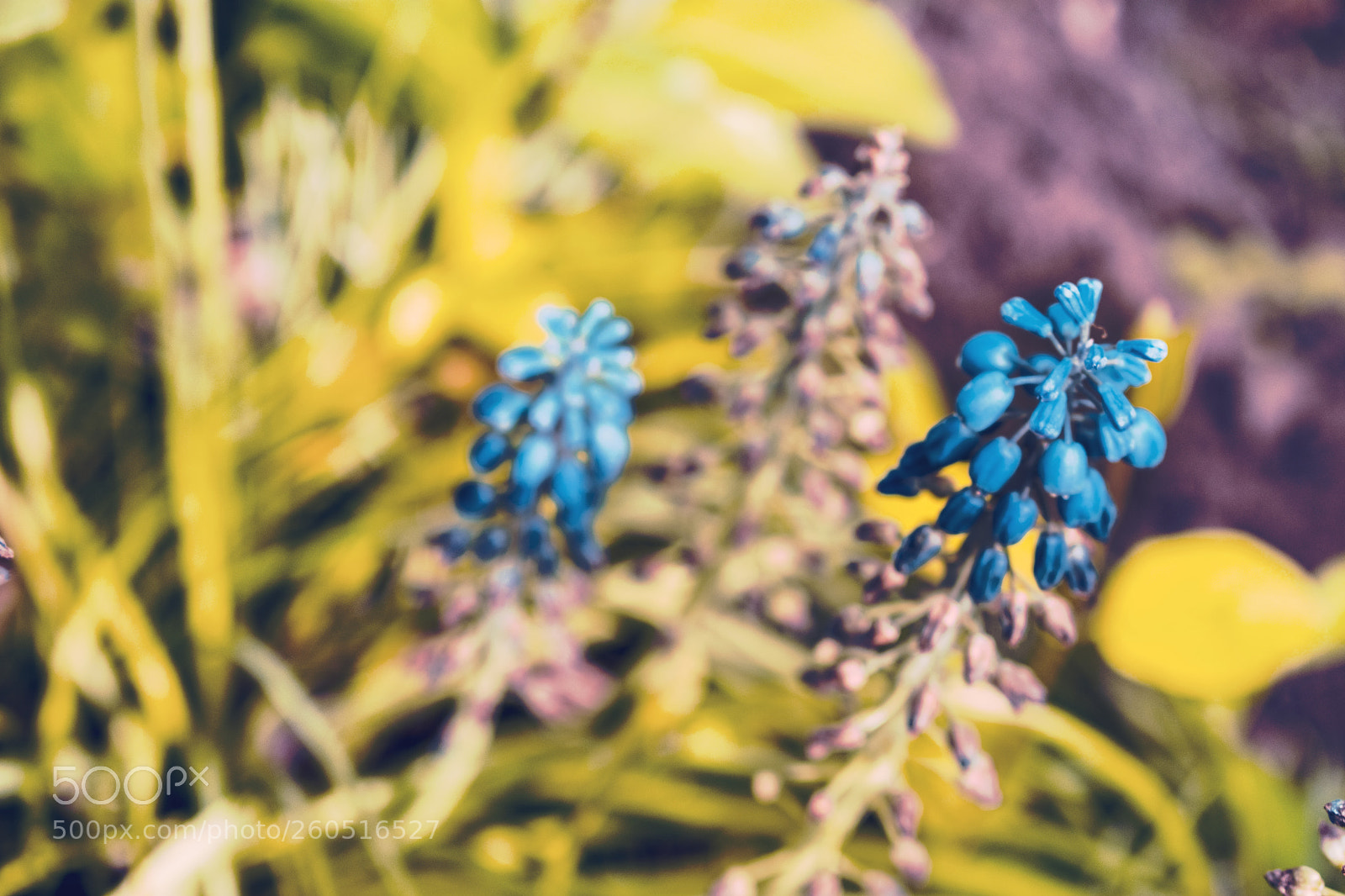 Nikon D3400 sample photo. Nikon d3400 + 18-55 mm photography