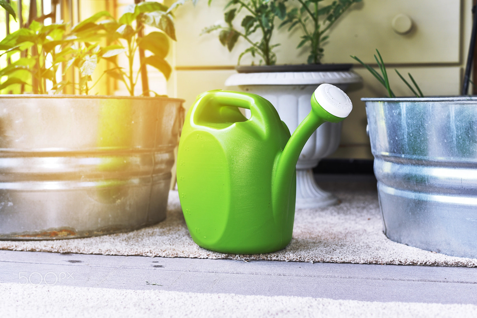 Nikon D750 sample photo. Patio gardening photography