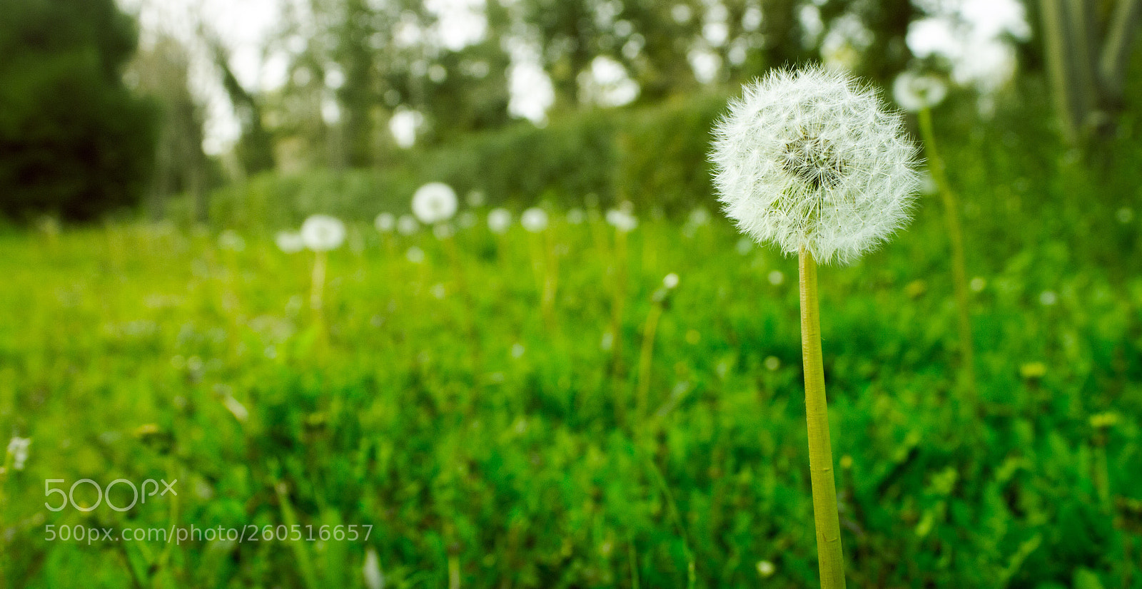 Canon EOS 7D sample photo. Untitled photography