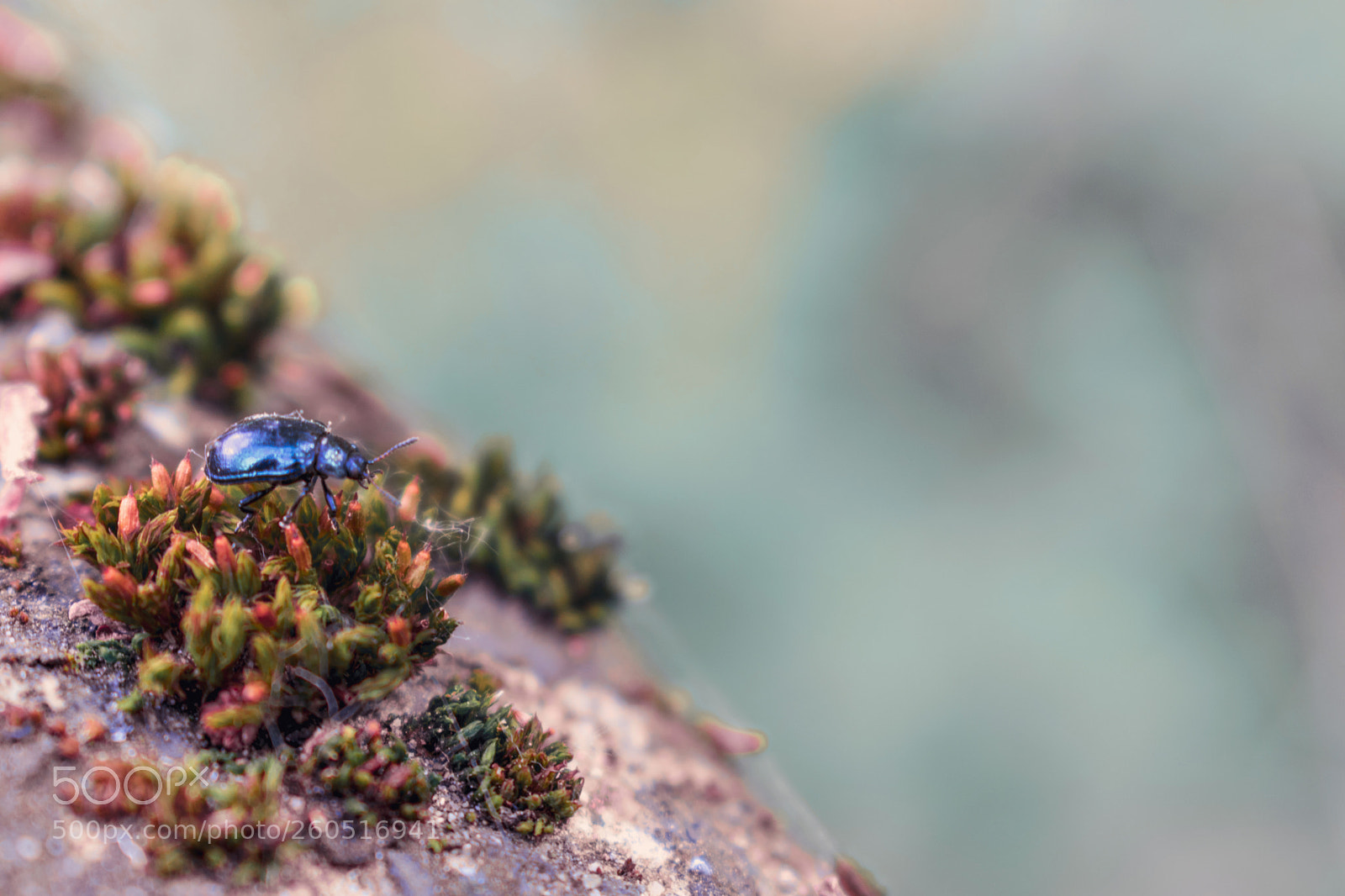 Nikon D3400 sample photo. Nikon d3400 + 18-55 mm photography