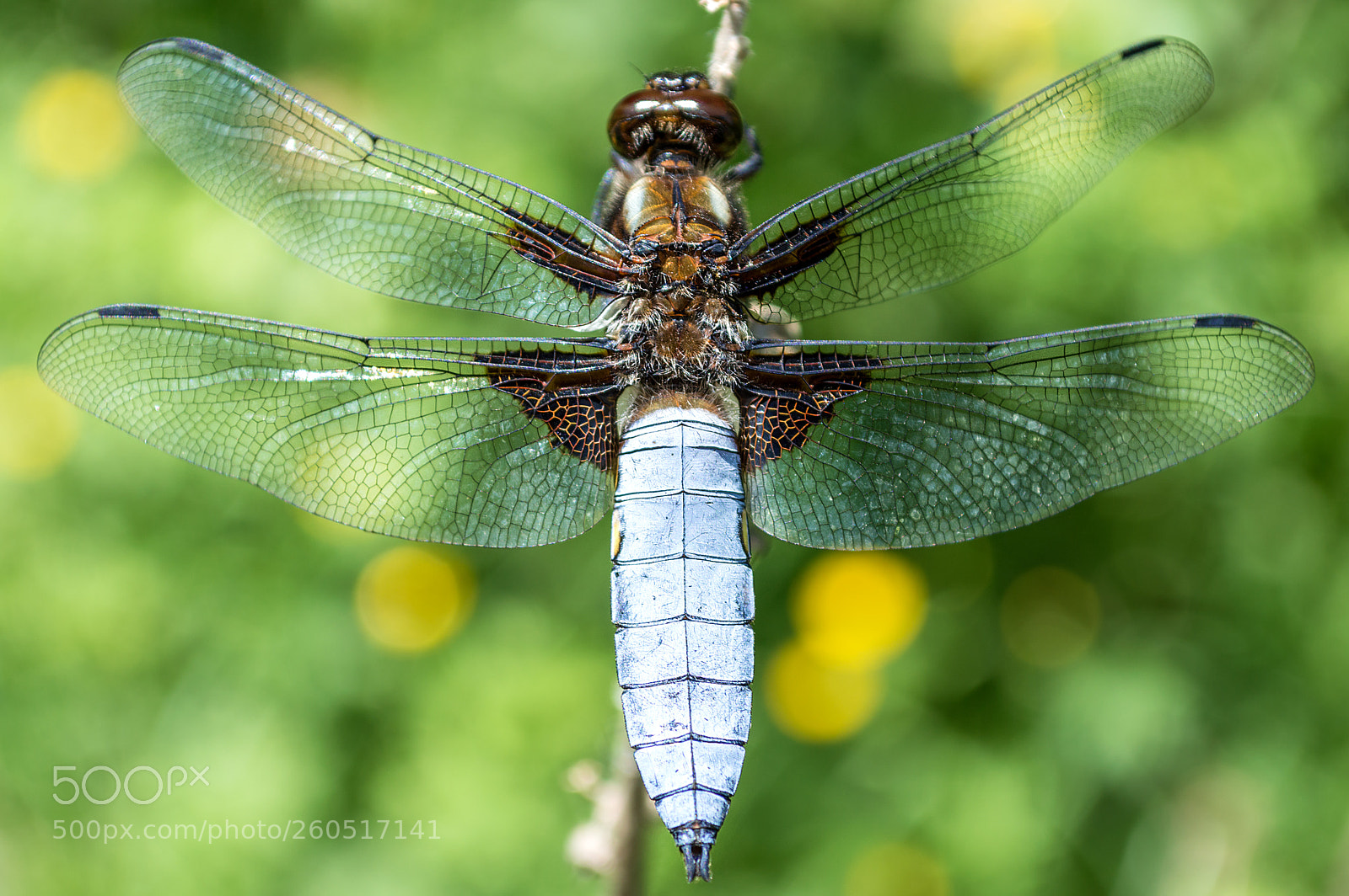 Nikon D3200 sample photo. Hunter photography
