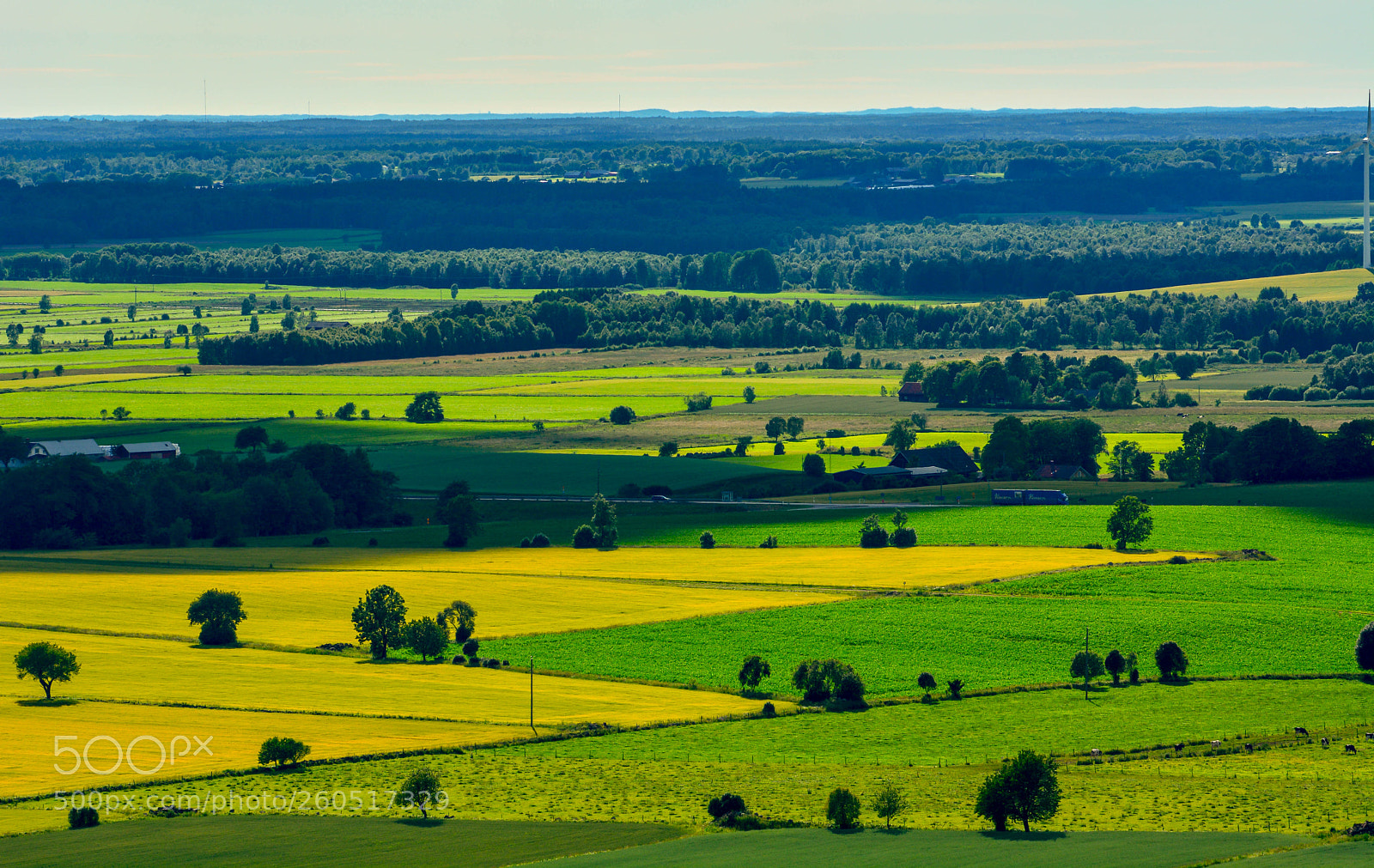 Nikon D7100 sample photo. Shades of green! photography