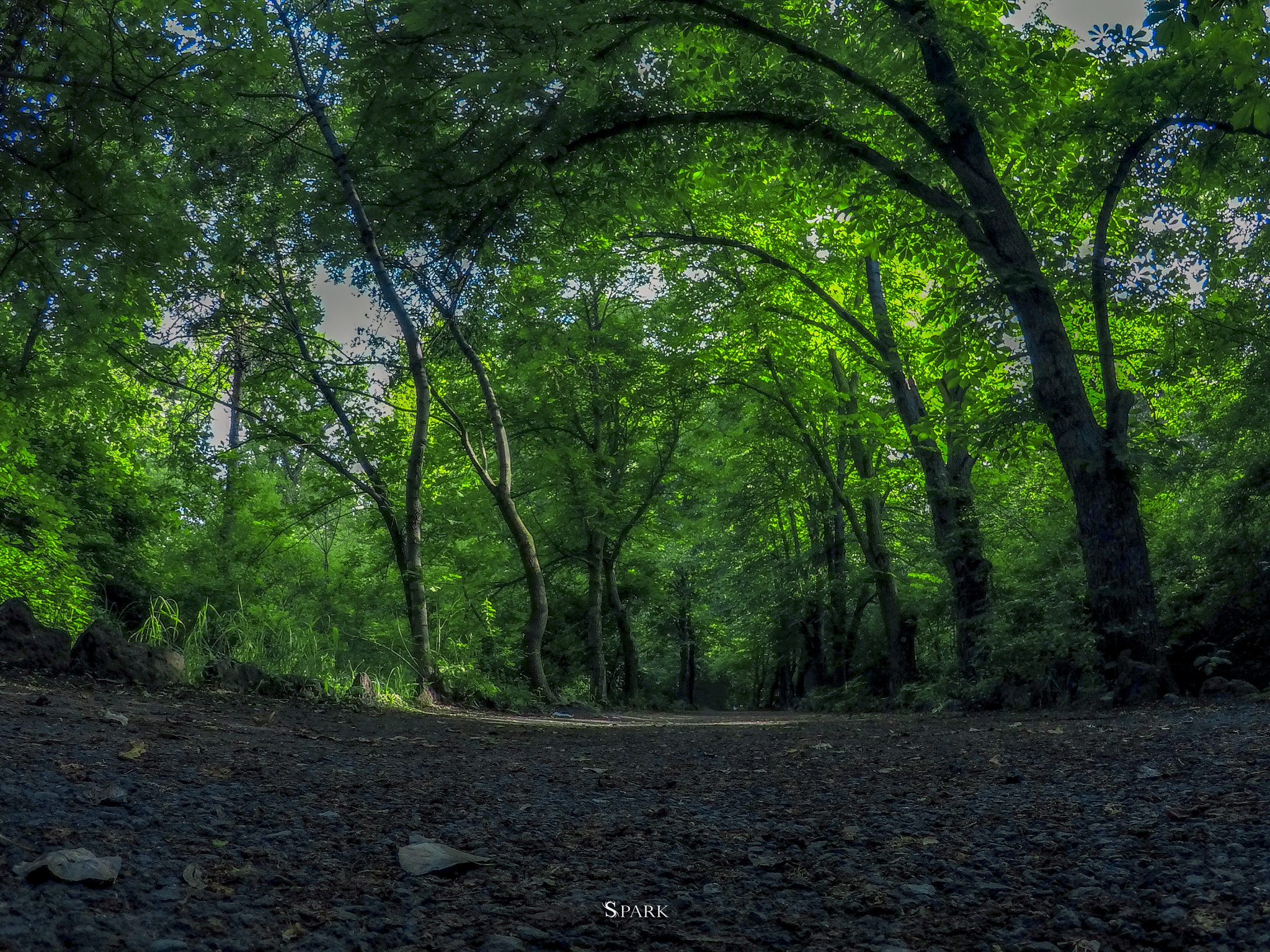 GoPro Hero5 Black sample photo. Nature photography