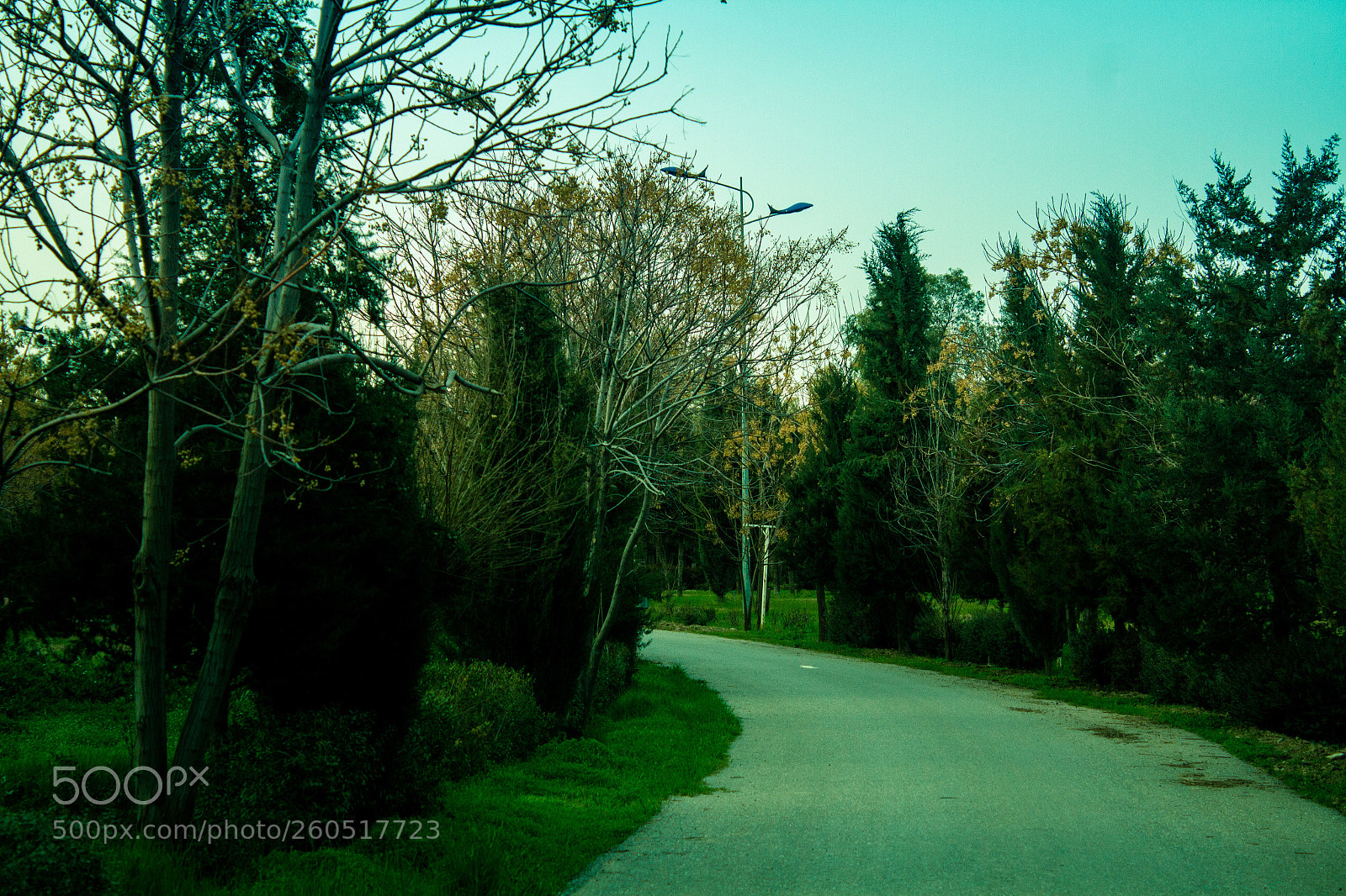 Canon EOS 7D sample photo. Untitled photography