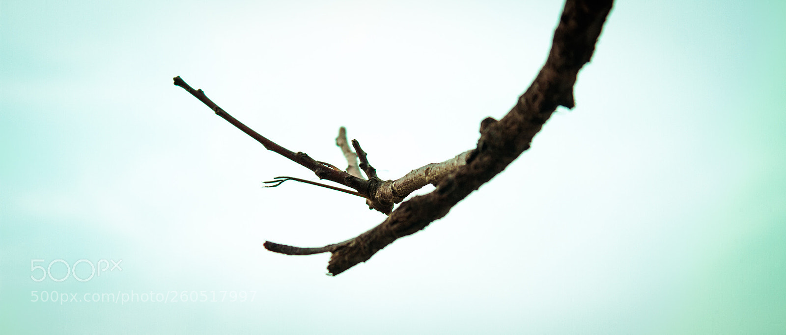 Canon EOS 7D sample photo. Untitled photography