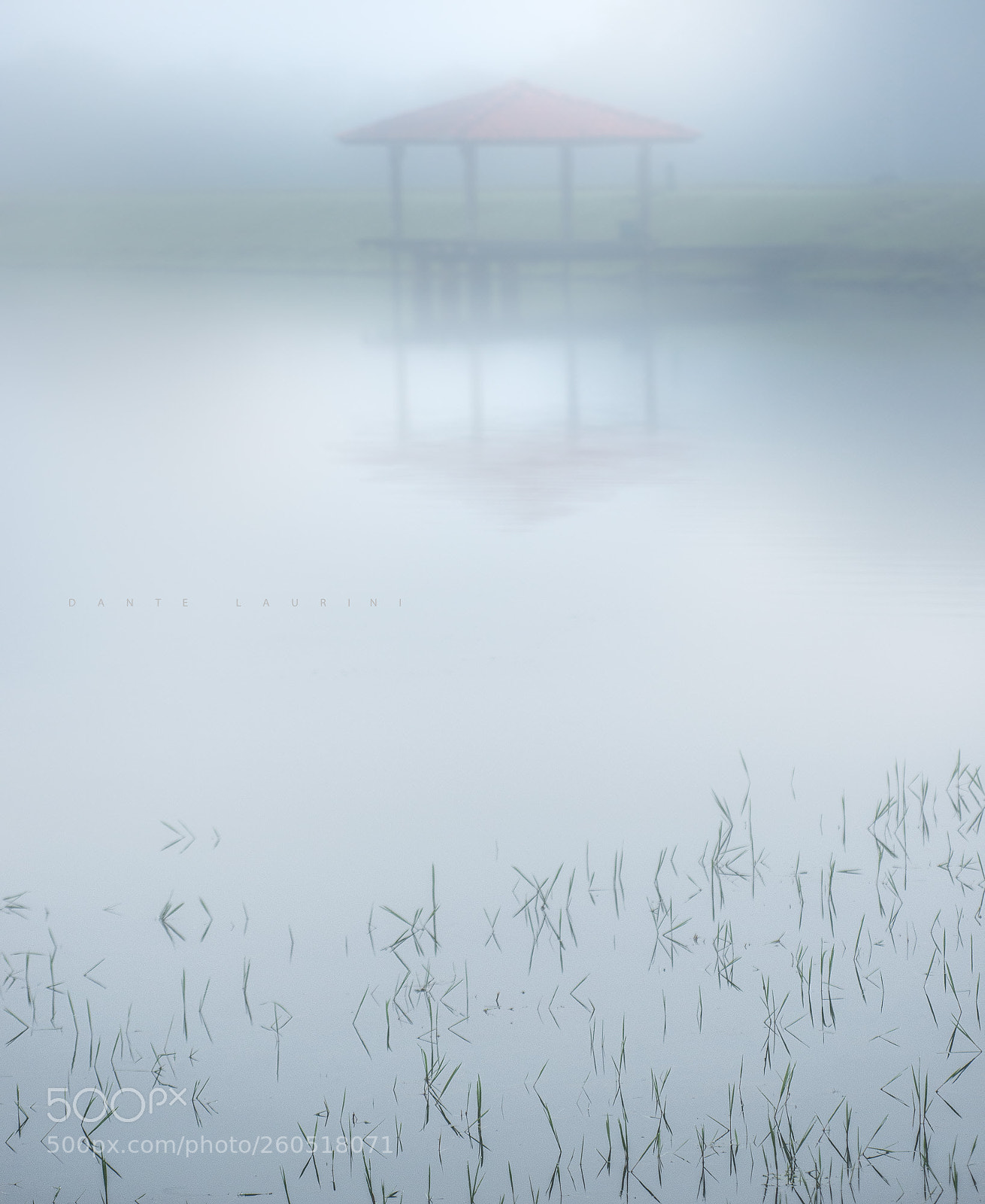 Nikon D800 sample photo. Mist photography