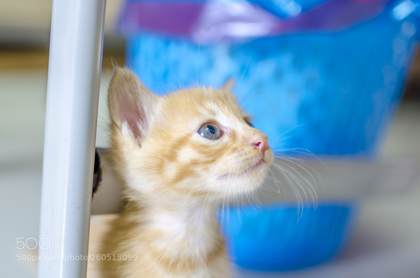 Nikon D5100 sample photo. Day 2 photography