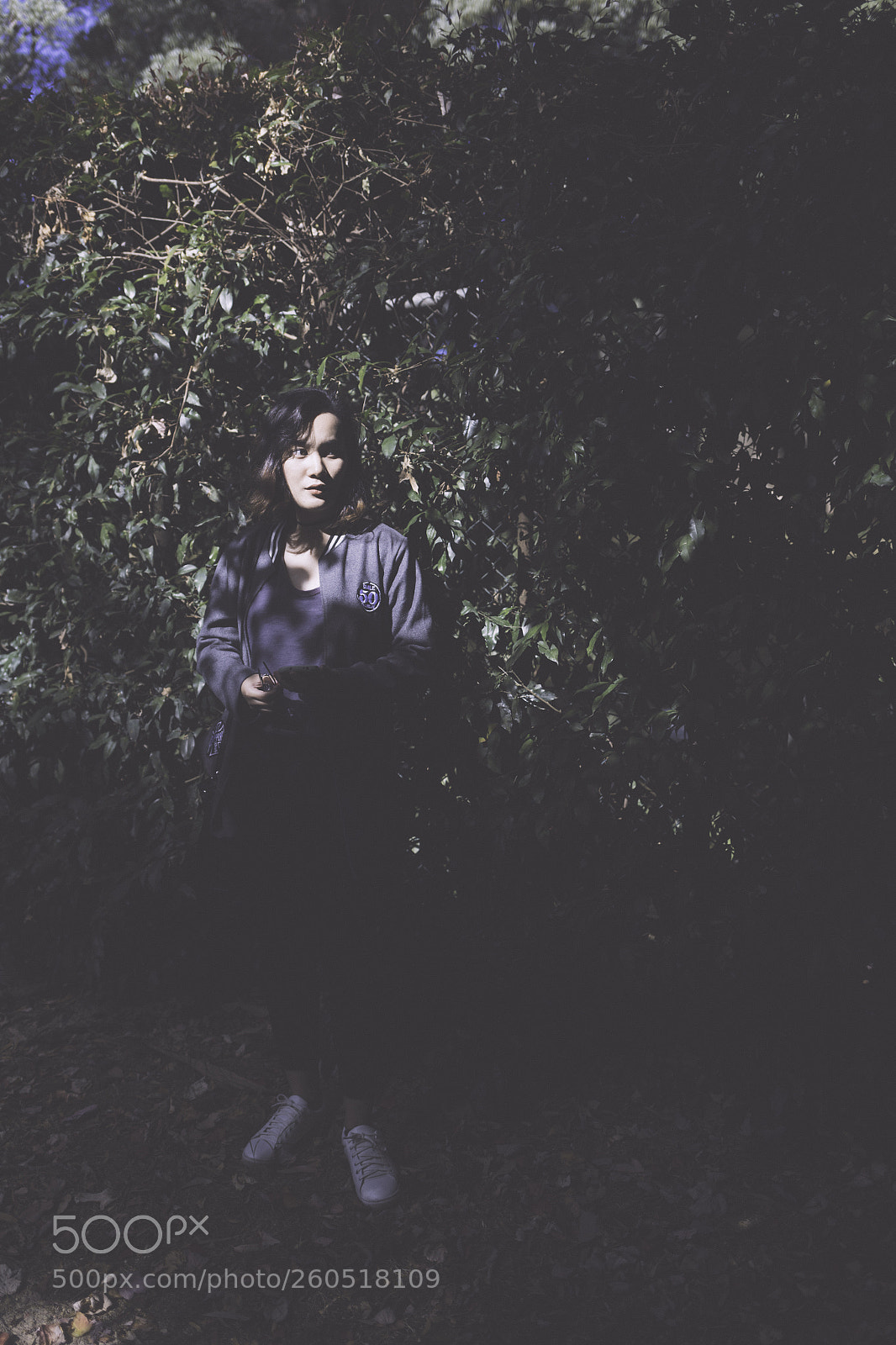 Canon EOS 6D sample photo. In the shadows photography