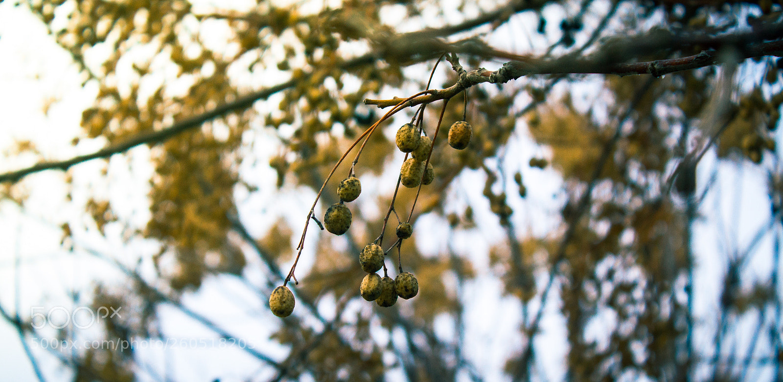 Canon EOS 7D sample photo. Untitled photography