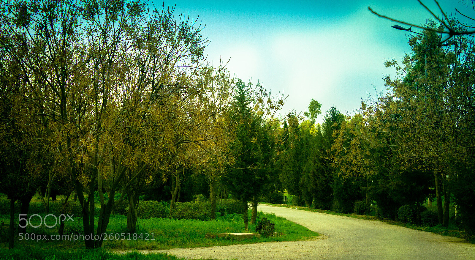 Canon EOS 7D sample photo. Untitled photography