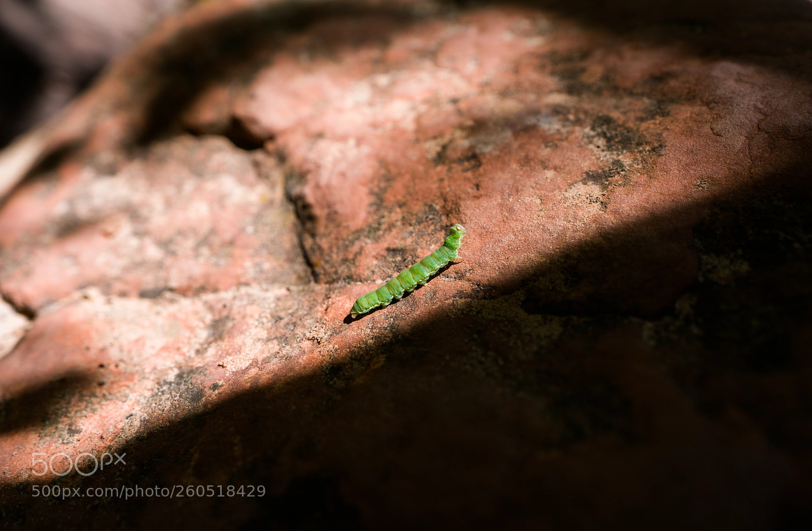 Sony a7R II sample photo. Dsc01206 photography