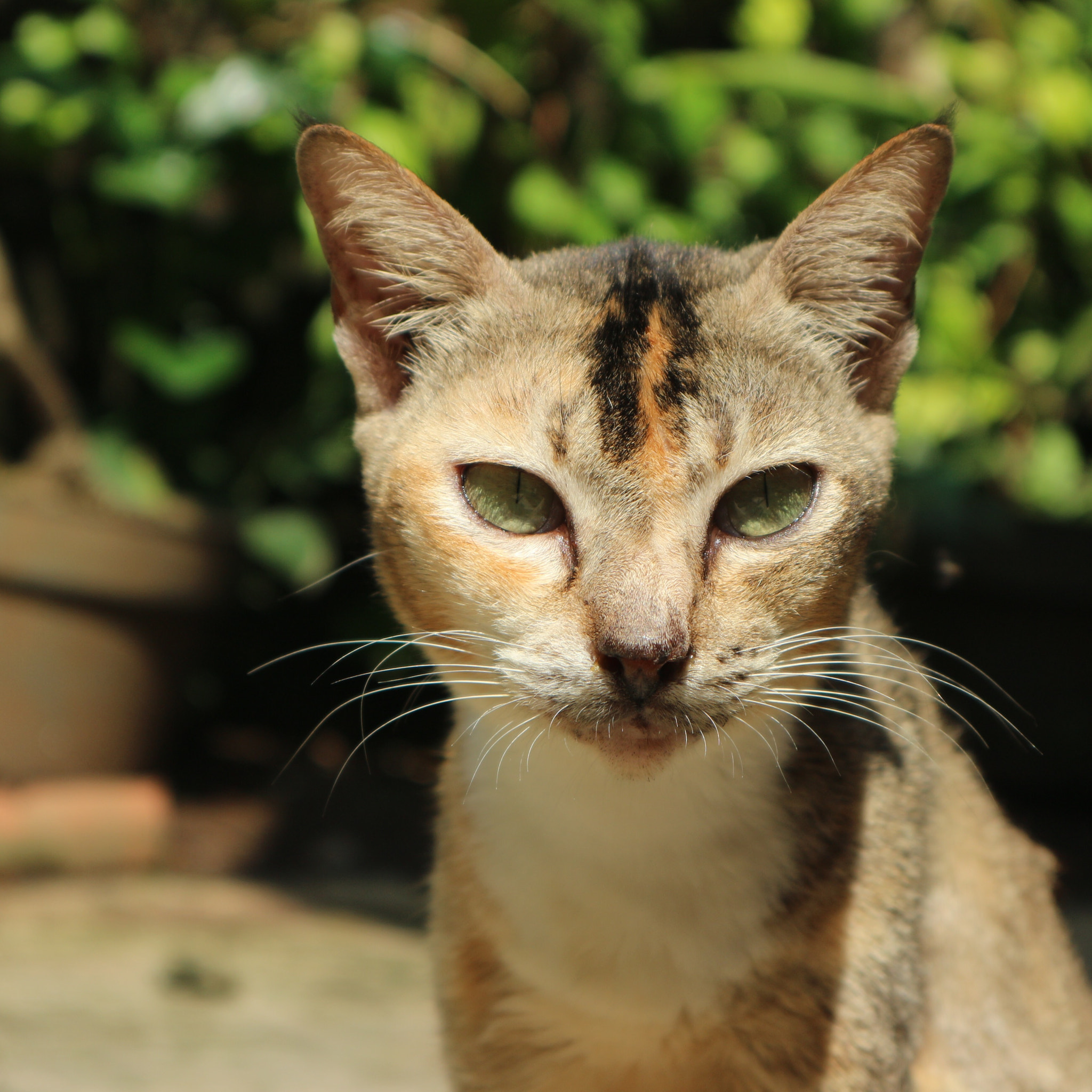 Canon EOS M10 sample photo. Untitled photography