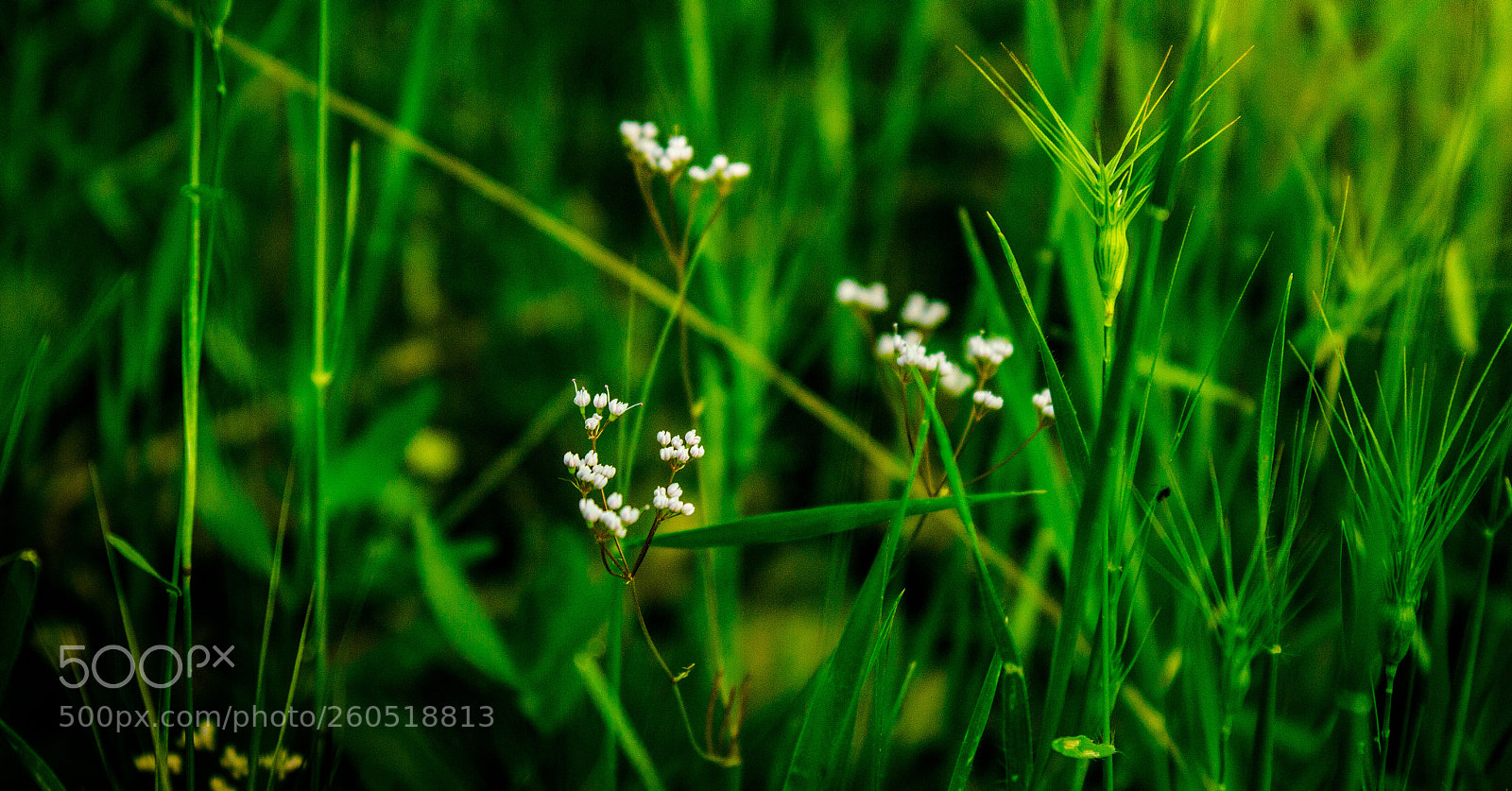 Canon EOS 7D sample photo. Untitled photography
