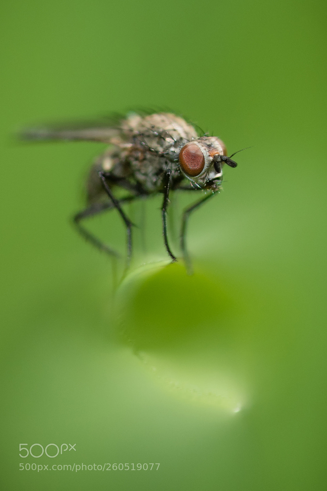 Nikon D810 sample photo. Do you care ? photography