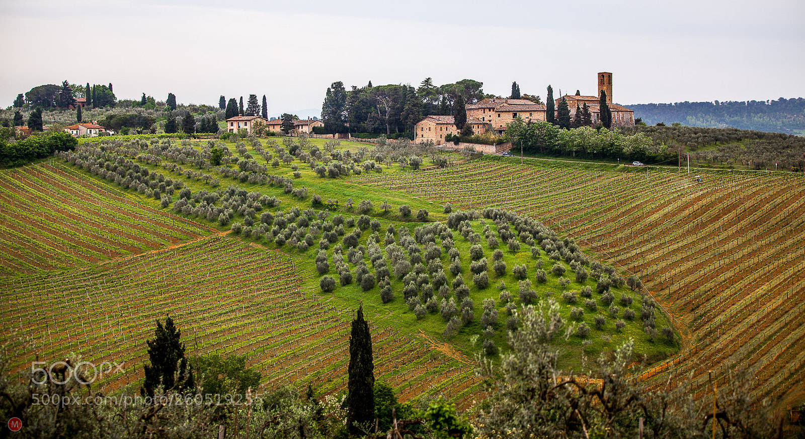 Canon EOS 5D Mark II sample photo. Fields near san giminiano photography
