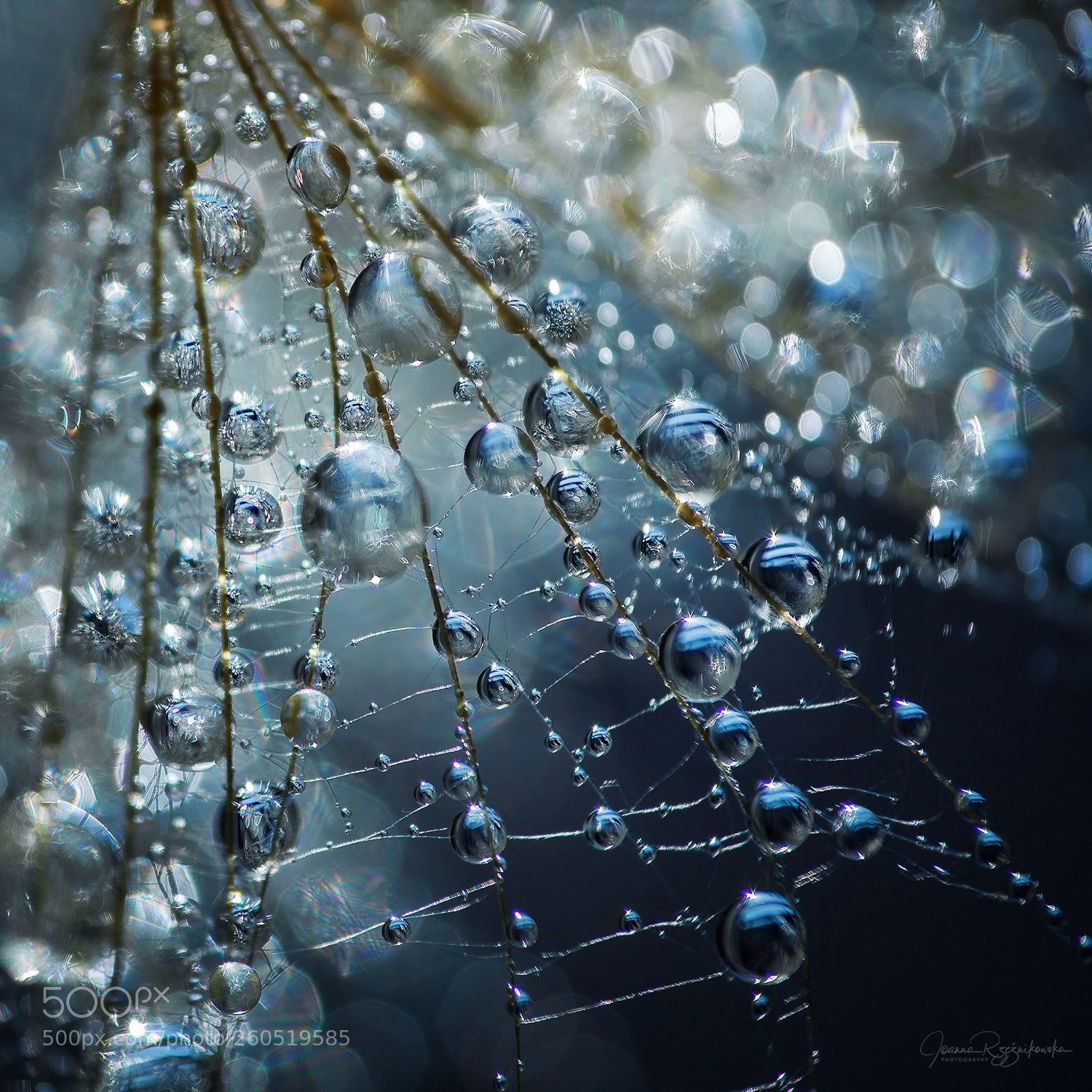 Canon EOS 5D Mark II sample photo. Lacrimosa photography