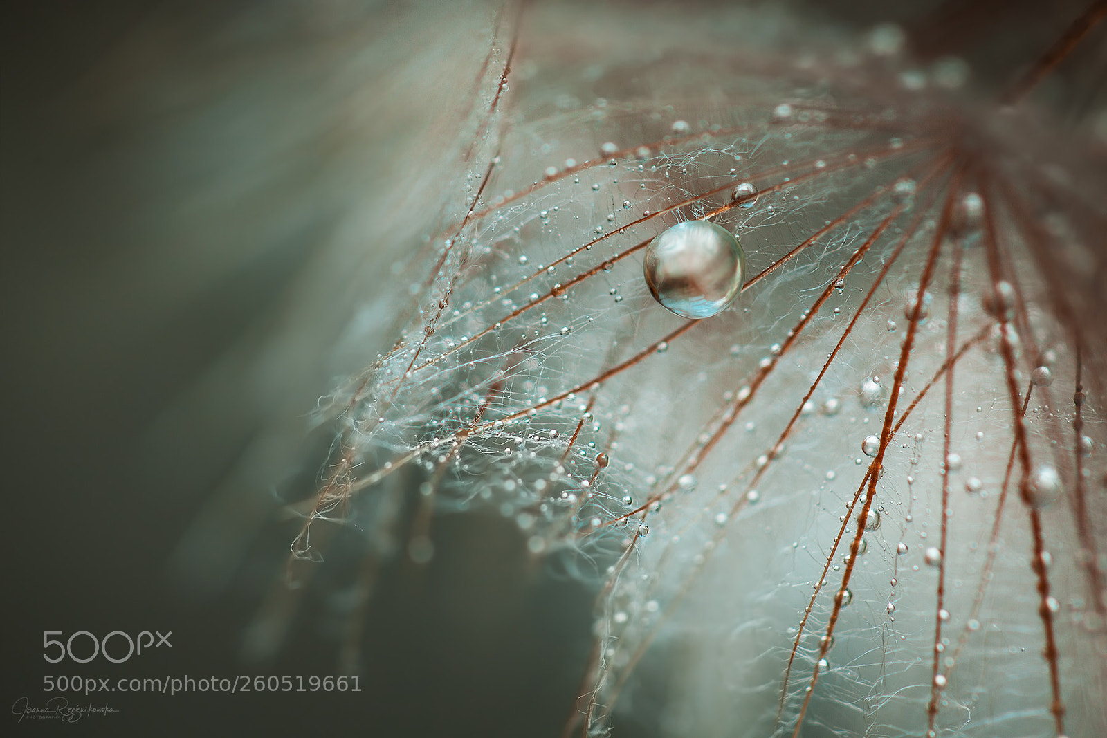 Canon EOS 5D Mark II sample photo. Lacrimosa photography