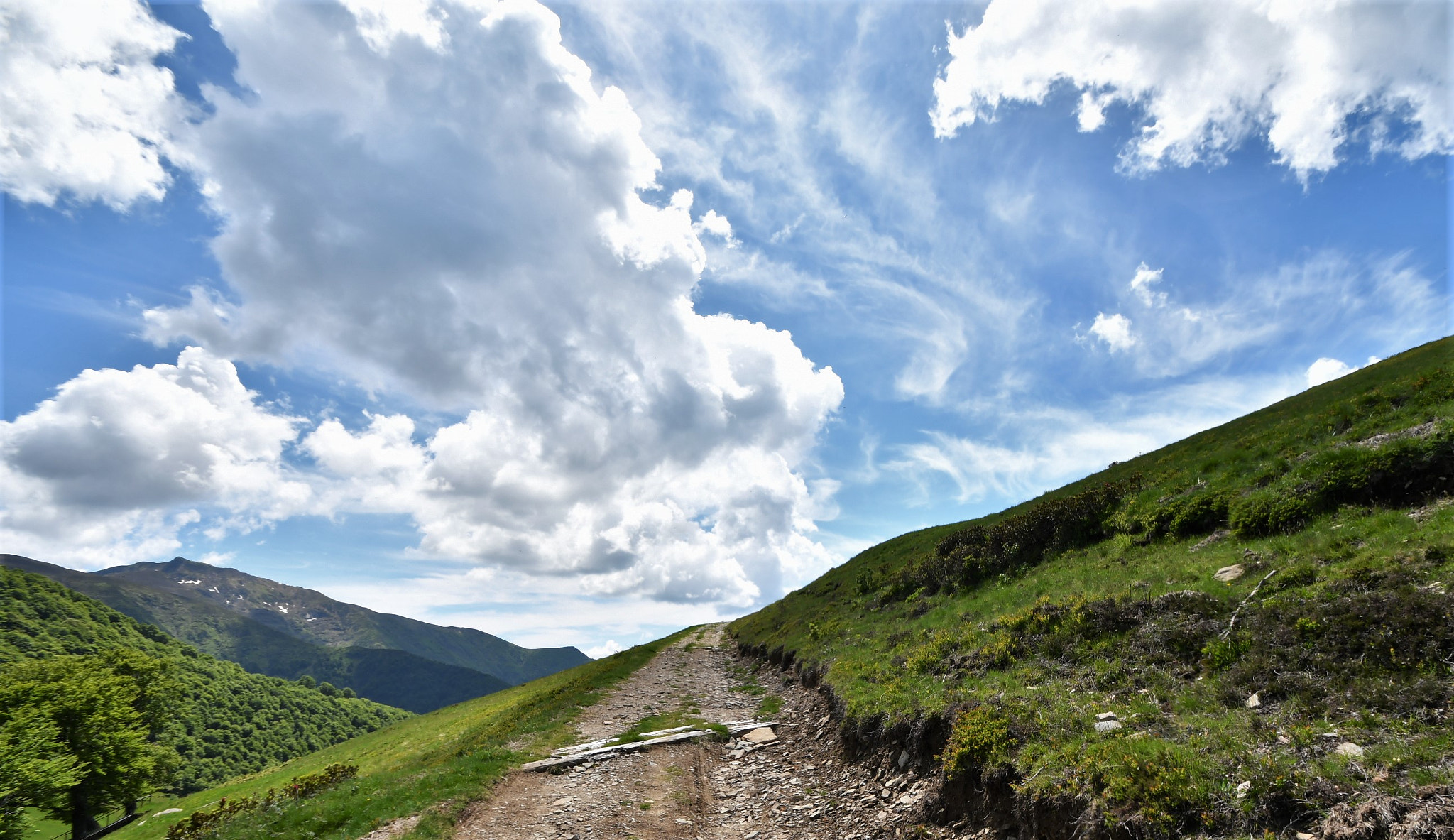 Nikon D500 sample photo. Route de montagne photography