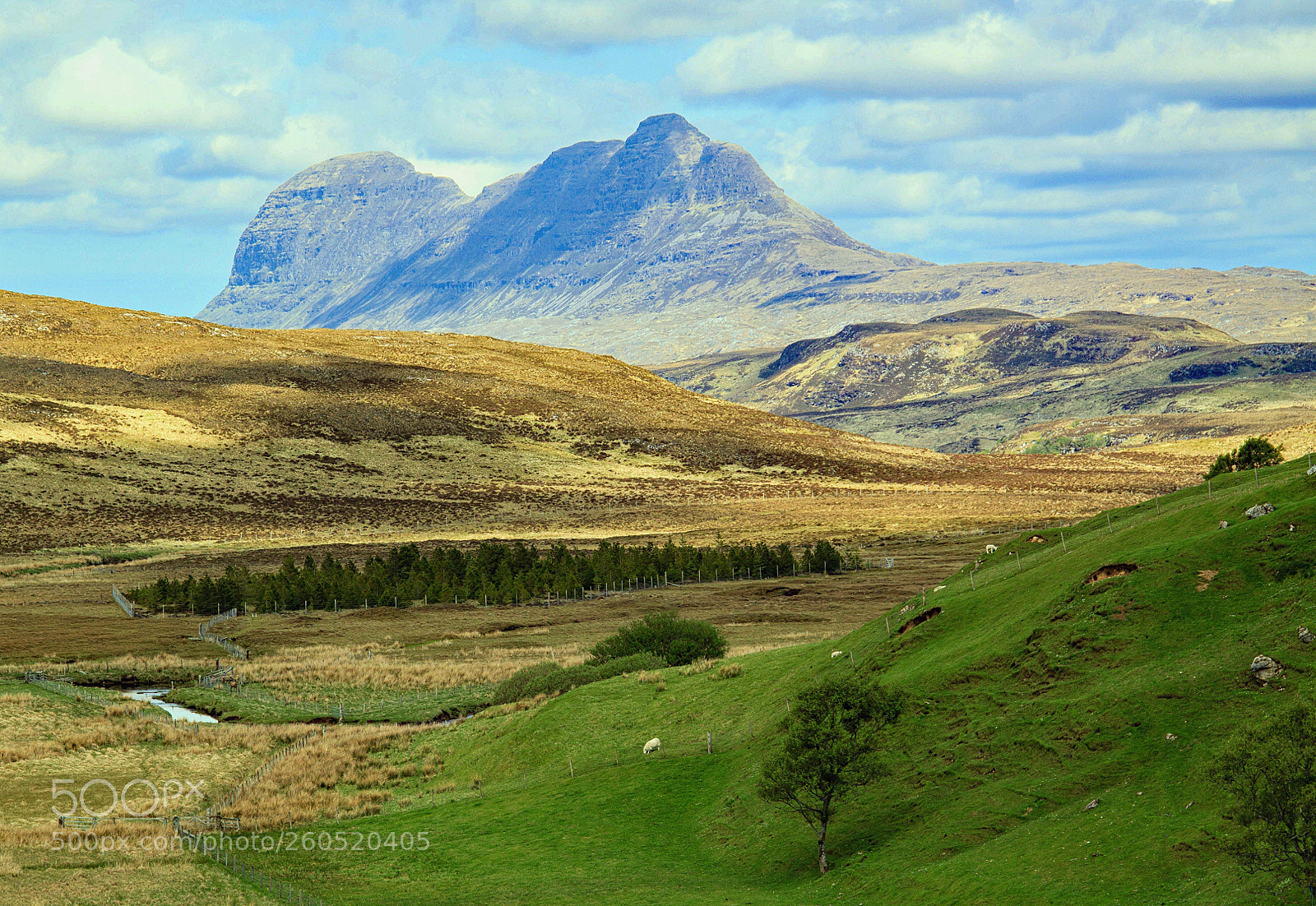 Canon EOS 500D (EOS Rebel T1i / EOS Kiss X3) sample photo. Suilven photography