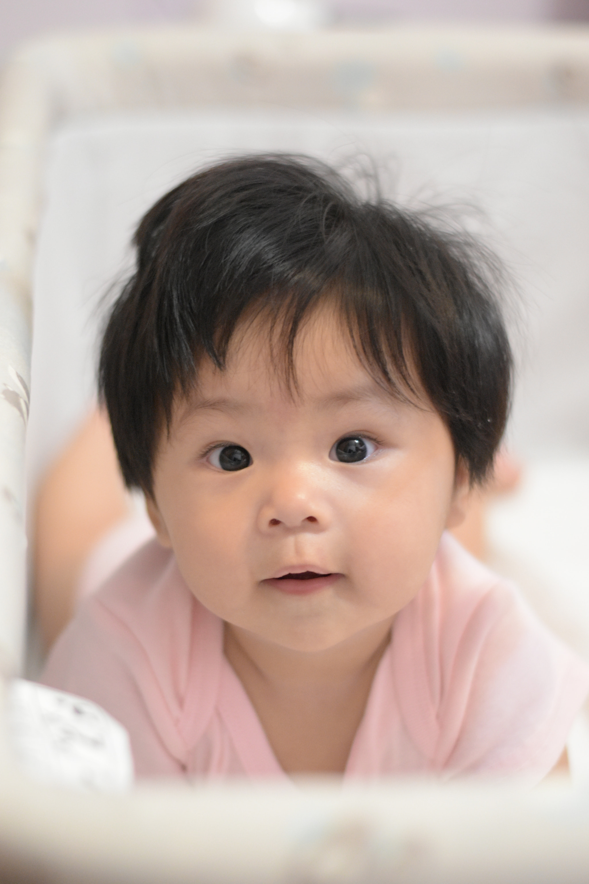 Nikon D5500 + Nikon AF-S Nikkor 50mm F1.8G sample photo