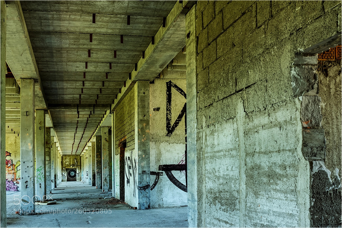 Canon EOS 60D sample photo. Damaged factory photography