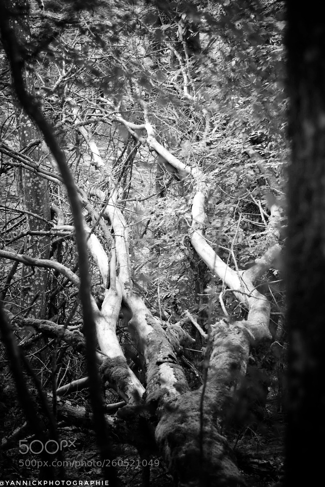Nikon D5600 sample photo. Untitled photography