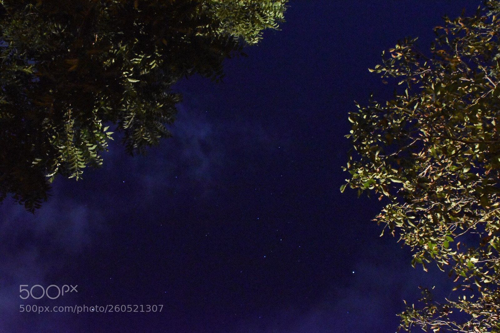 Nikon D5500 sample photo. Untitled photography